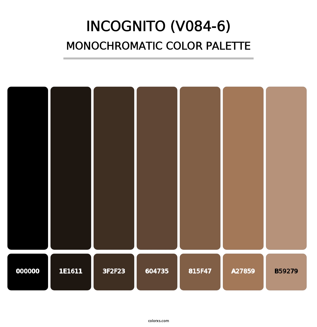 Incognito (V084-6) - Monochromatic Color Palette