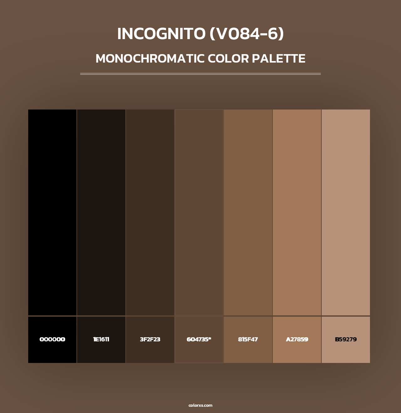 Incognito (V084-6) - Monochromatic Color Palette