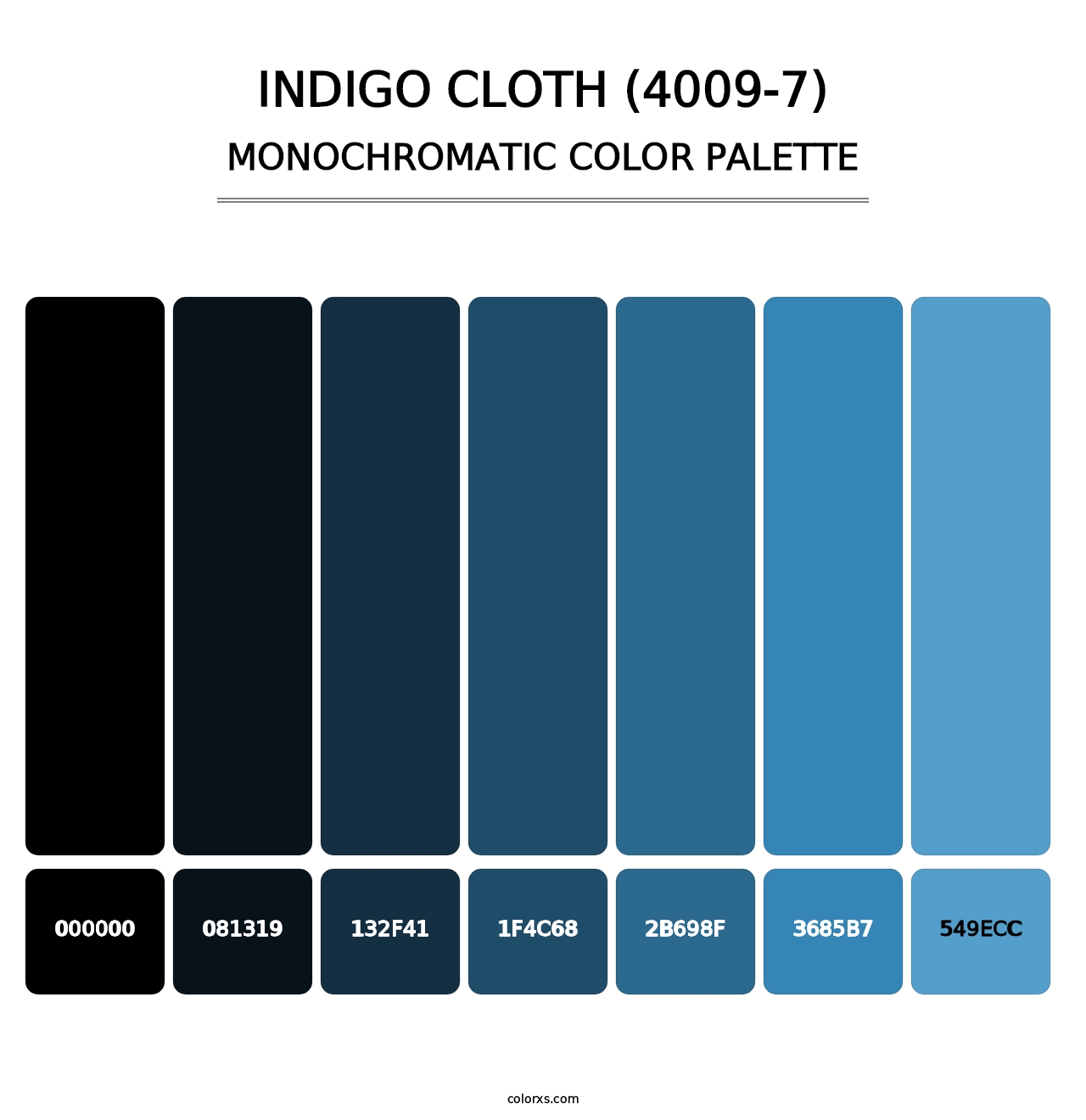 Indigo Cloth (4009-7) - Monochromatic Color Palette