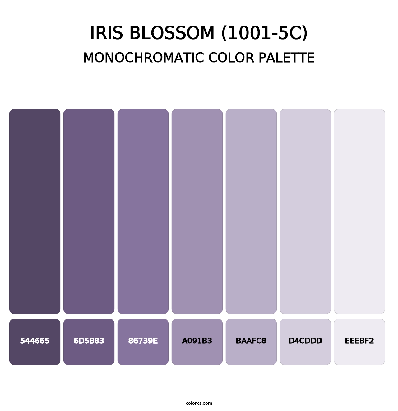 Iris Blossom (1001-5C) - Monochromatic Color Palette