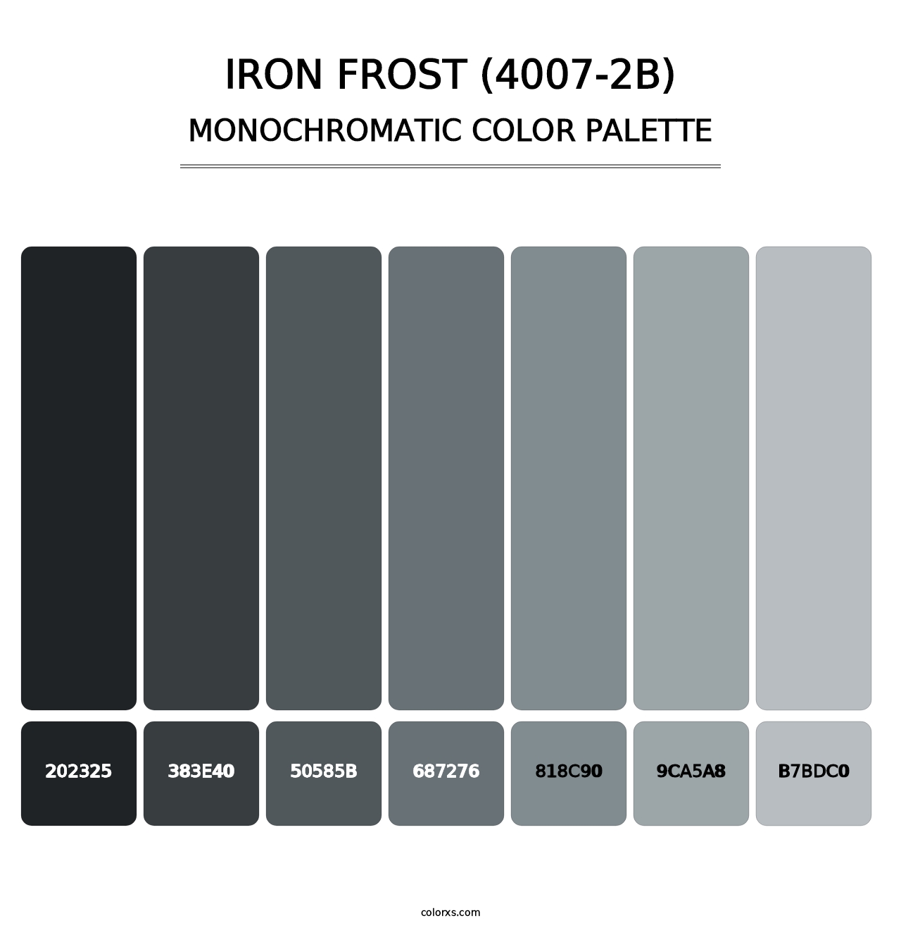 Iron Frost (4007-2B) - Monochromatic Color Palette