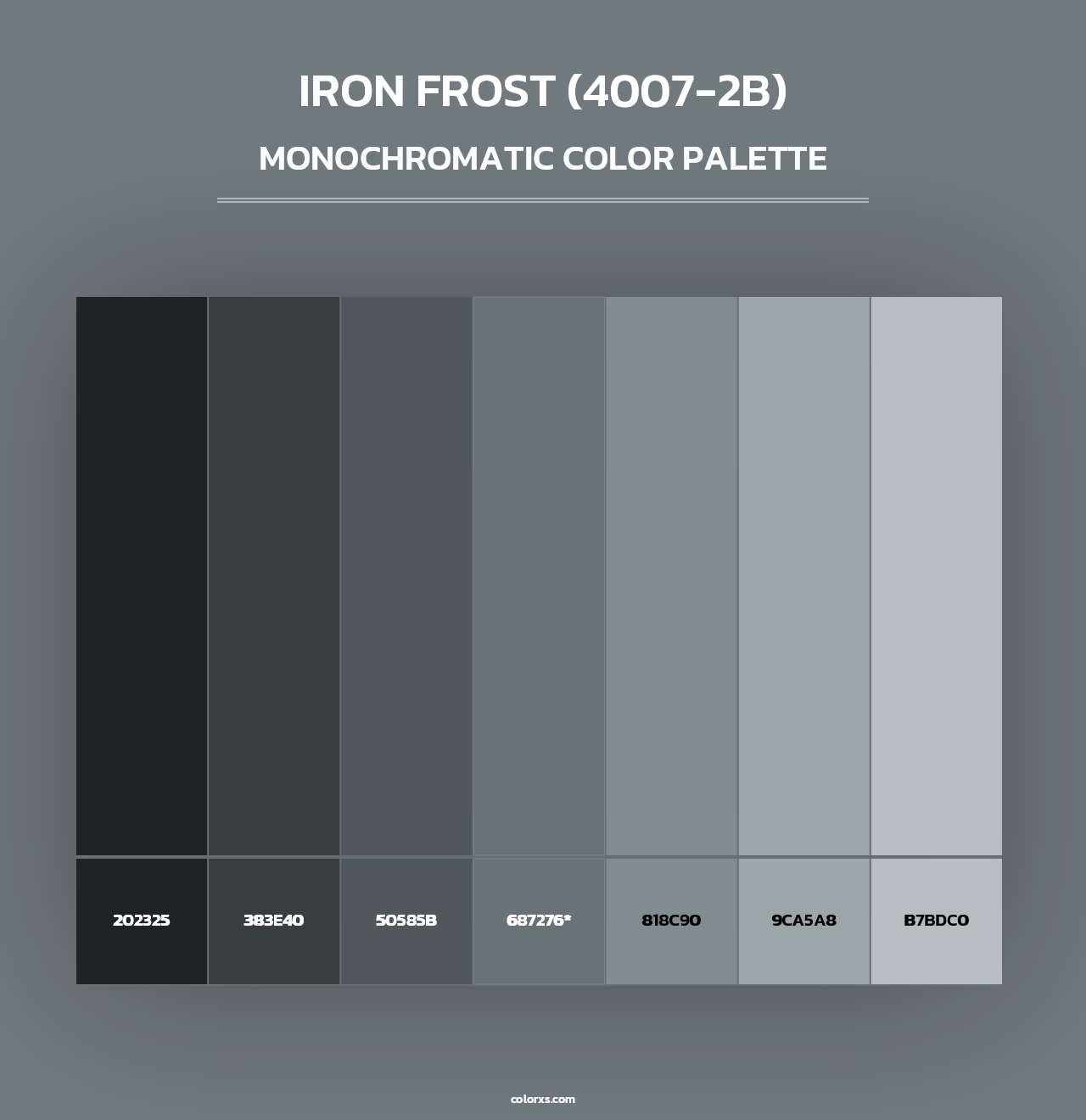 Iron Frost (4007-2B) - Monochromatic Color Palette