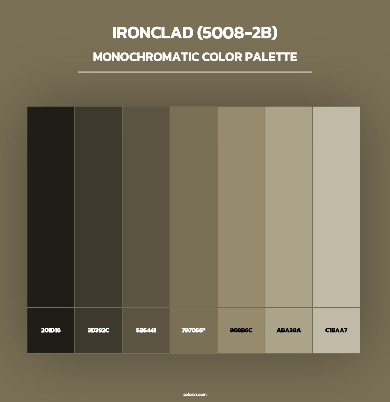 Ironclad (5008-2B) - Monochromatic Color Palette