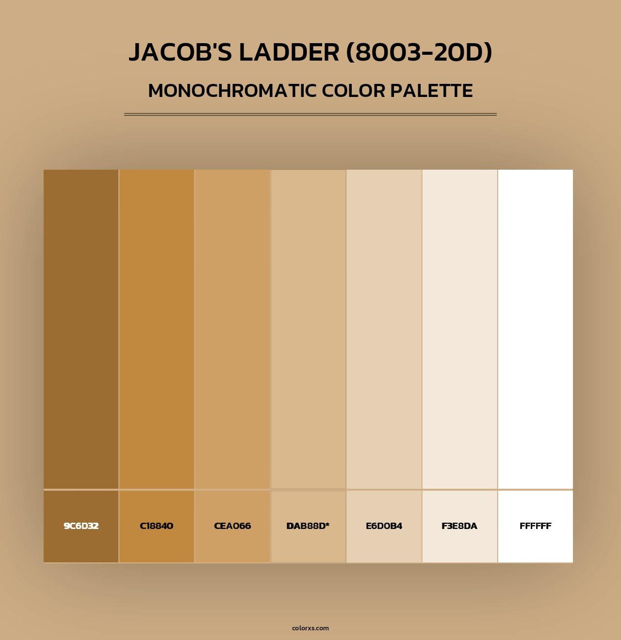 Jacob's Ladder (8003-20D) - Monochromatic Color Palette