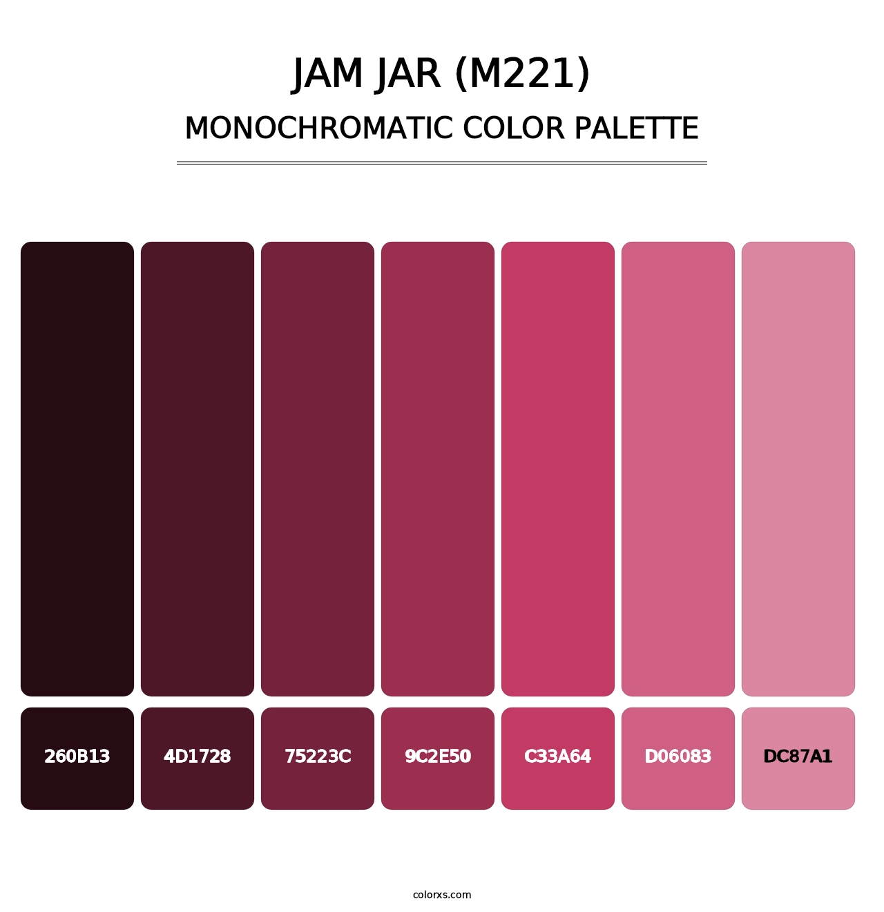 Jam Jar (M221) - Monochromatic Color Palette