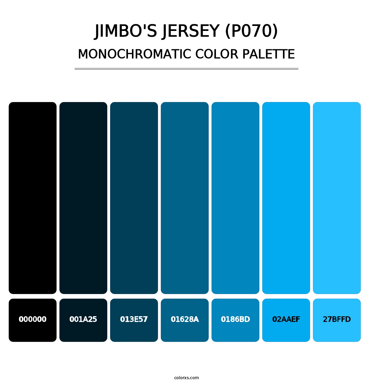 Jimbo's Jersey (P070) - Monochromatic Color Palette
