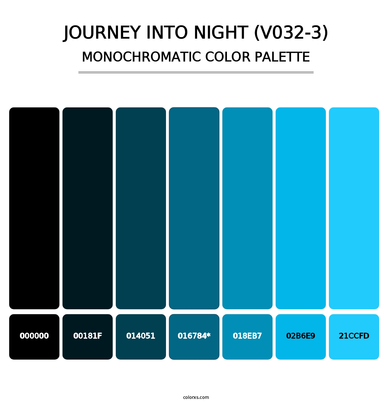 Journey Into Night (V032-3) - Monochromatic Color Palette