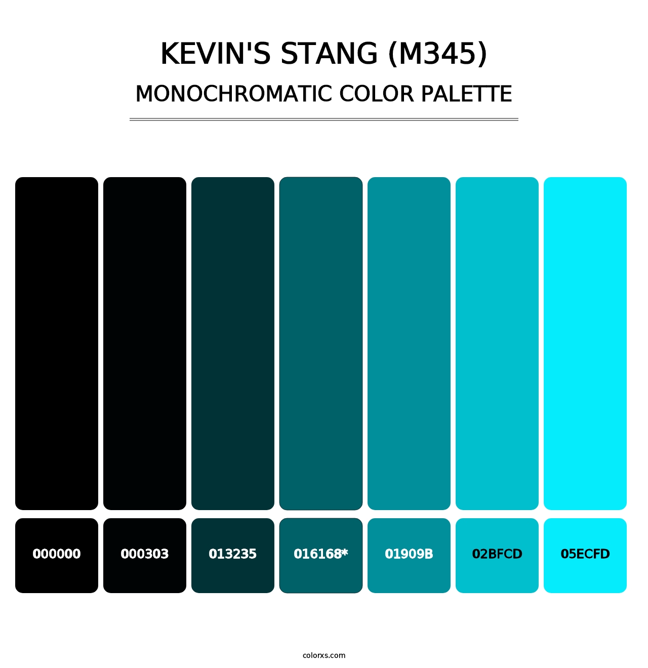 Kevin's Stang (M345) - Monochromatic Color Palette