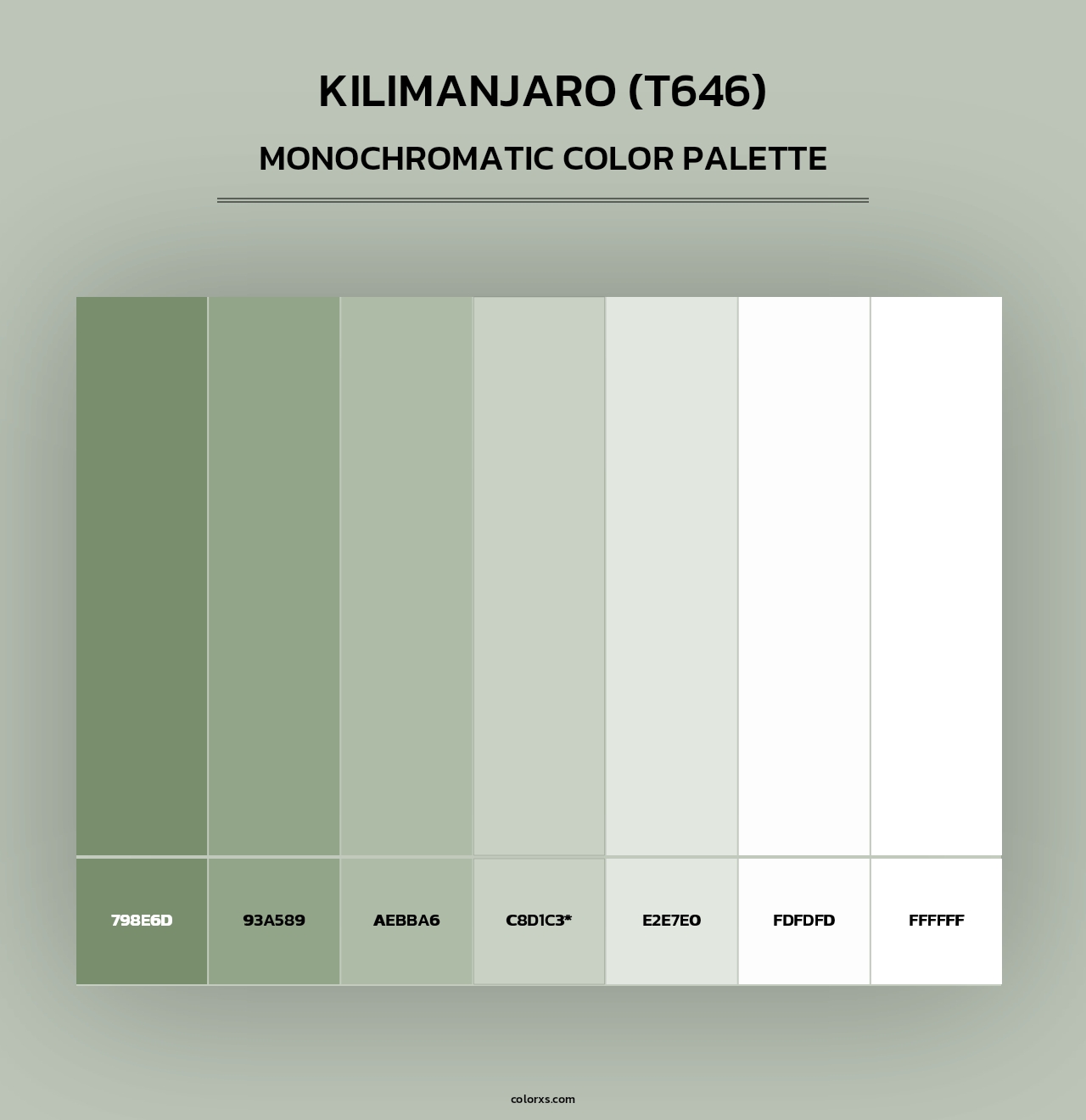 Kilimanjaro (T646) - Monochromatic Color Palette
