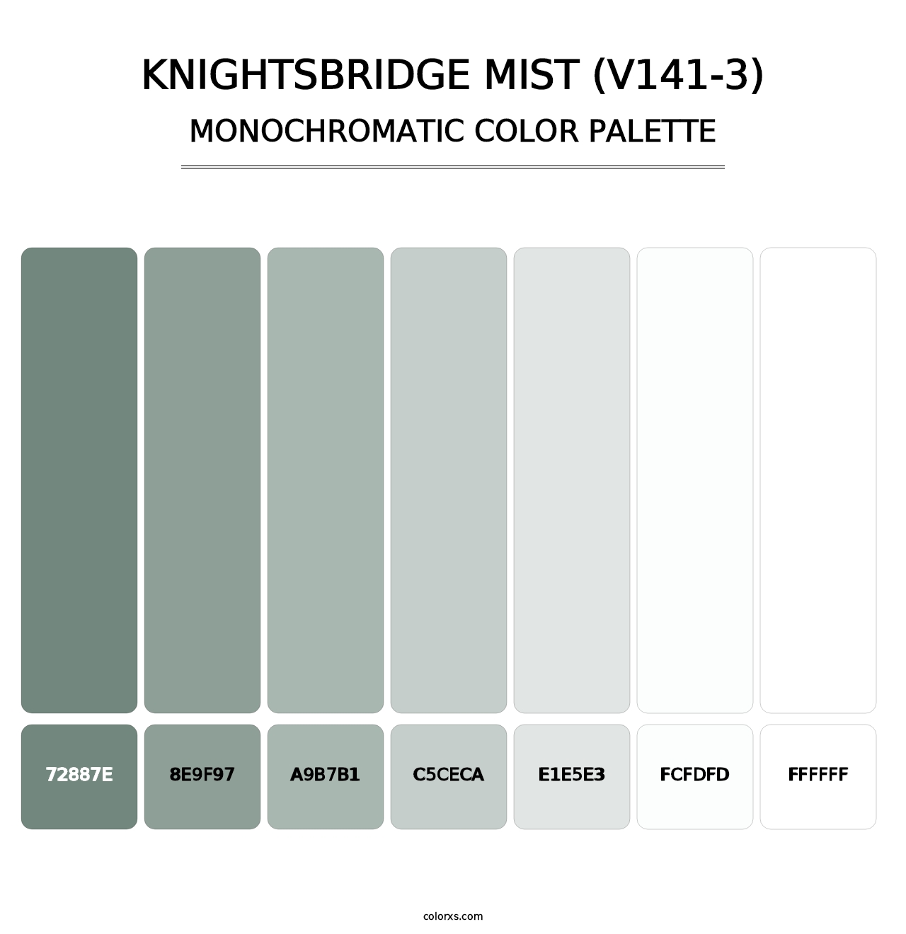 Knightsbridge Mist (V141-3) - Monochromatic Color Palette