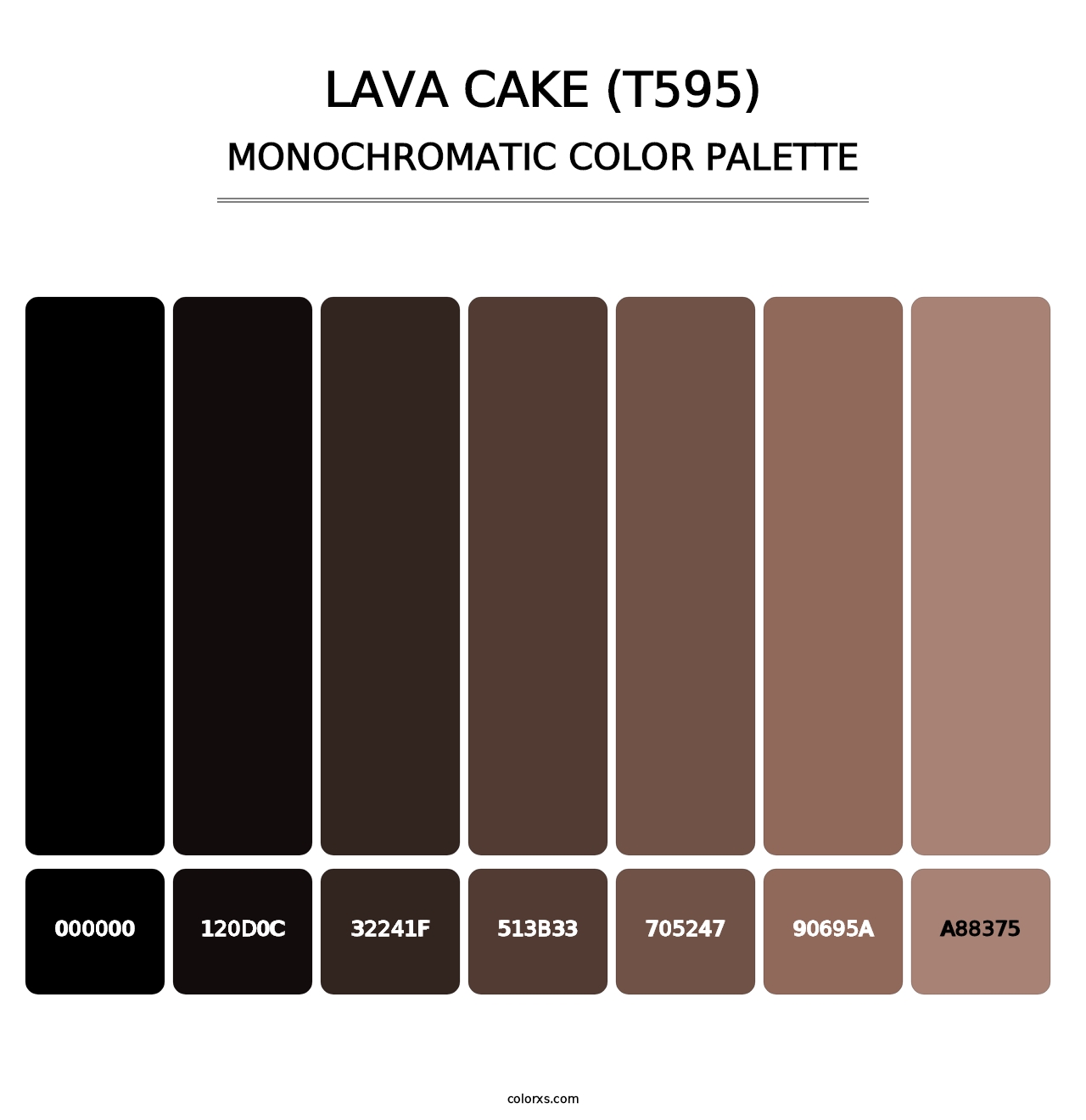 Lava Cake (T595) - Monochromatic Color Palette