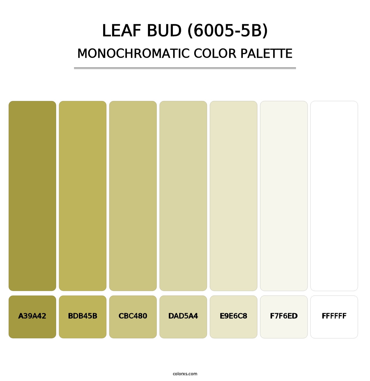 Leaf Bud (6005-5B) - Monochromatic Color Palette