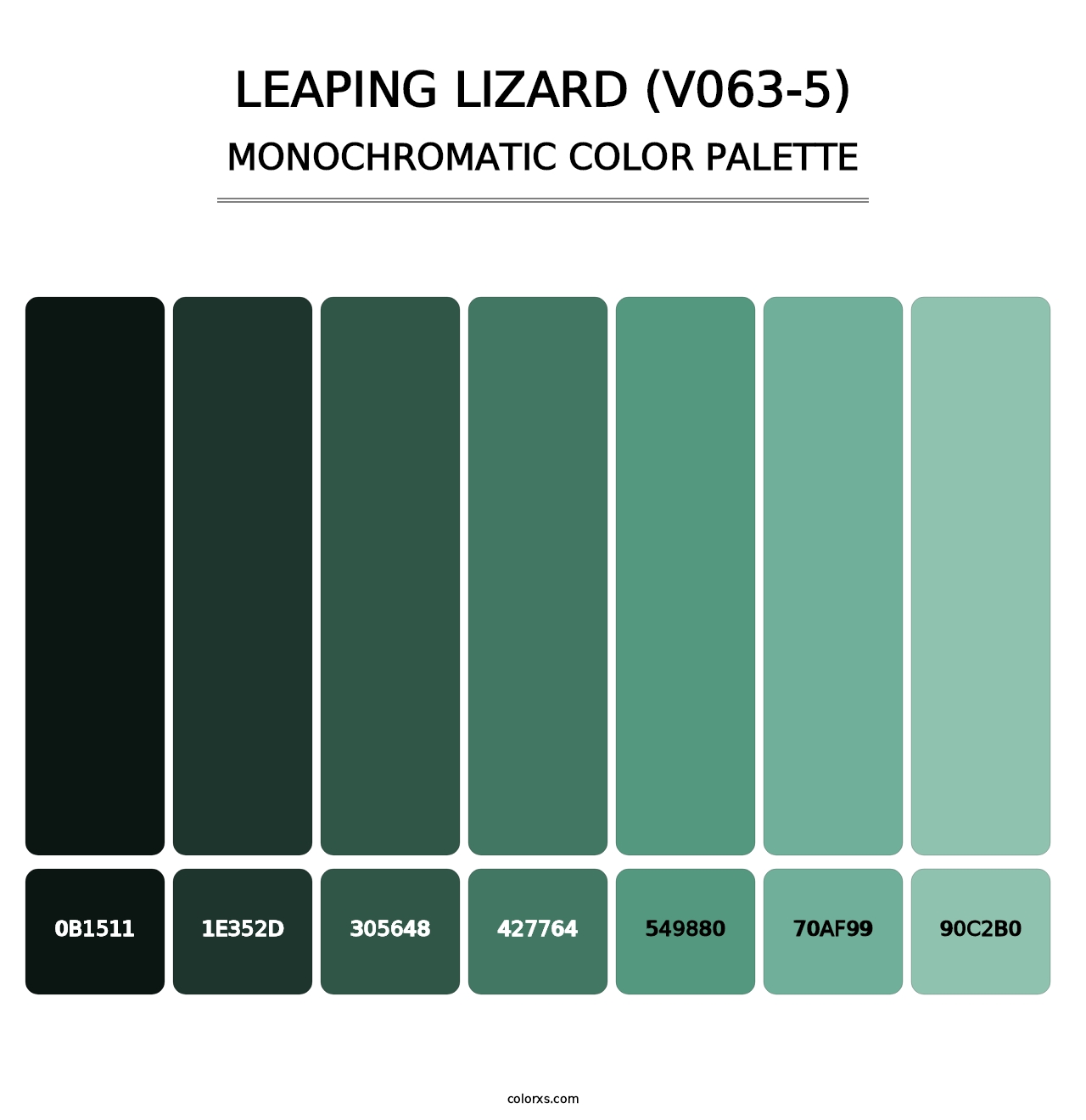 Leaping Lizard (V063-5) - Monochromatic Color Palette