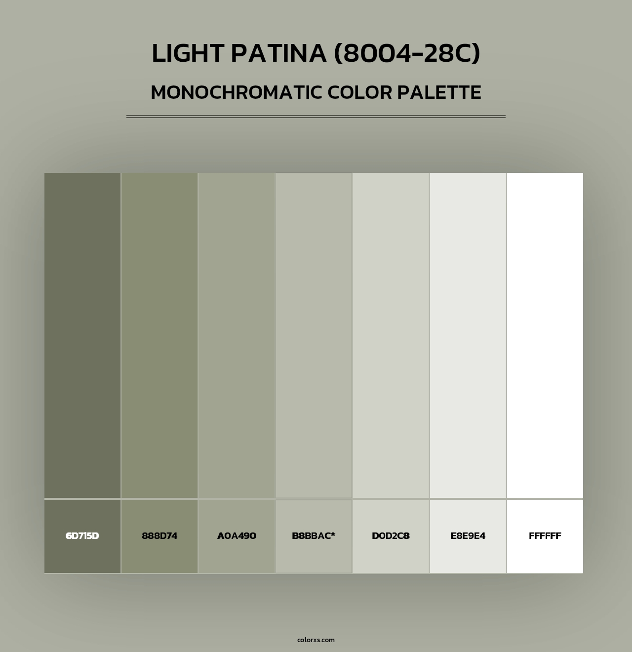 Light Patina (8004-28C) - Monochromatic Color Palette