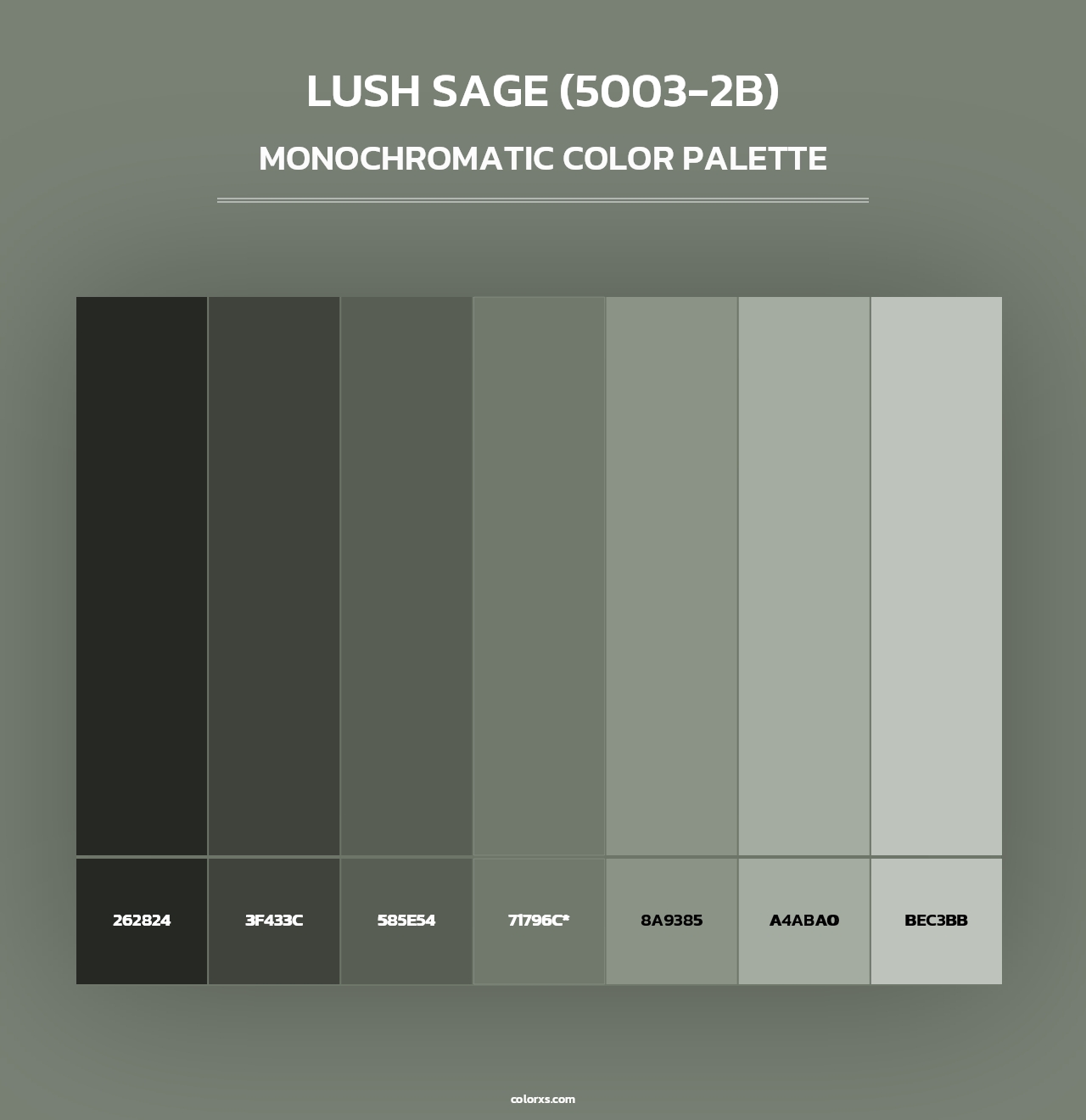 Lush Sage (5003-2B) - Monochromatic Color Palette