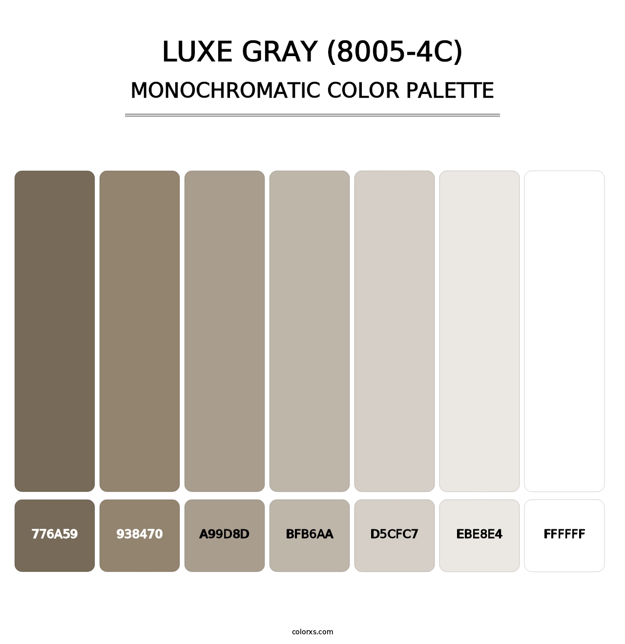 Luxe Gray (8005-4C) - Monochromatic Color Palette