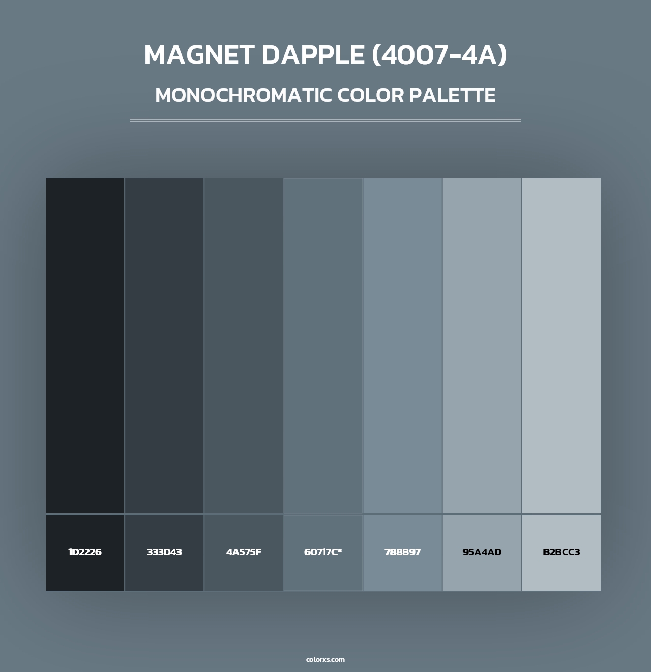 Magnet Dapple (4007-4A) - Monochromatic Color Palette