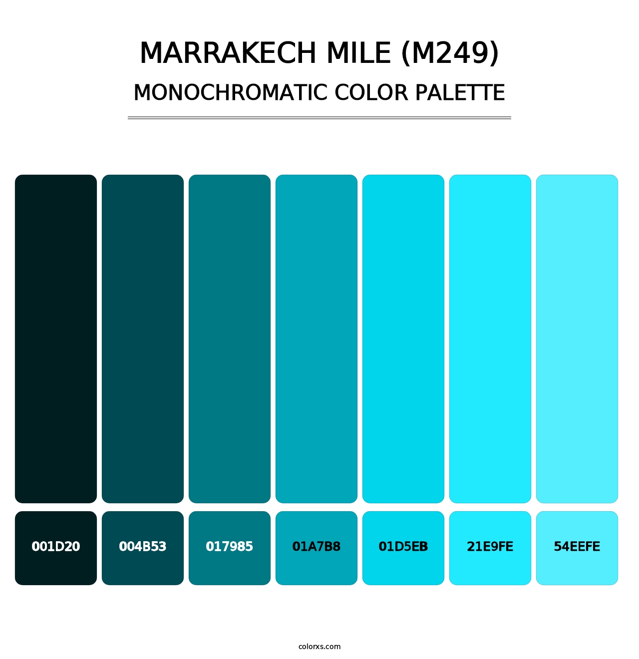 Marrakech Mile (M249) - Monochromatic Color Palette