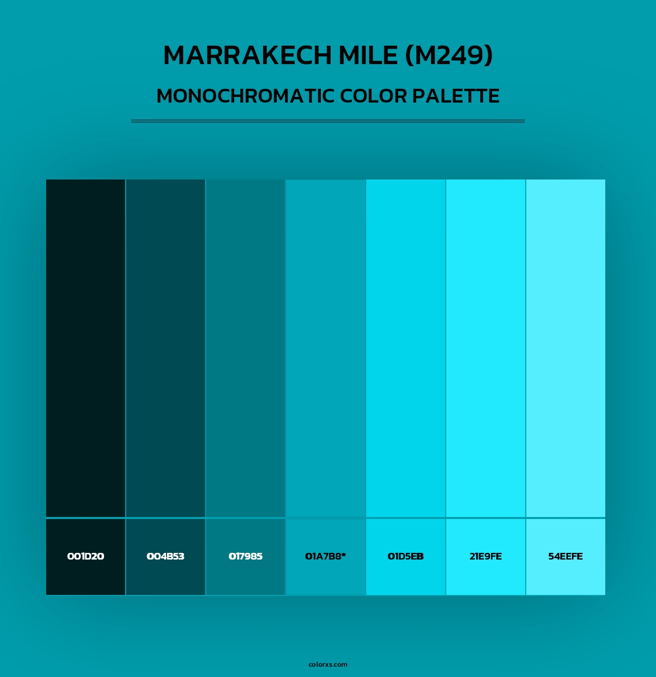 Marrakech Mile (M249) - Monochromatic Color Palette