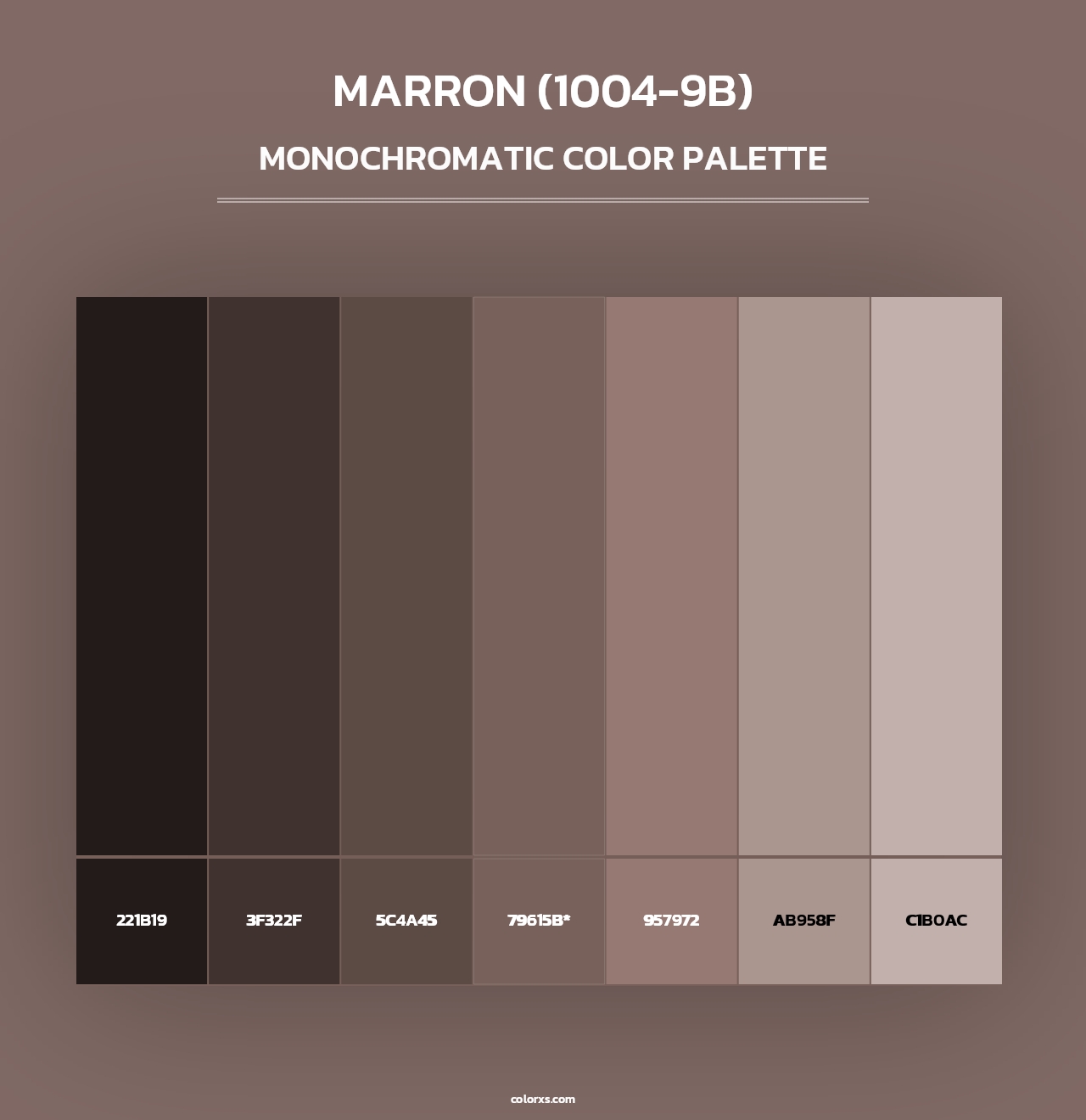 Marron (1004-9B) - Monochromatic Color Palette