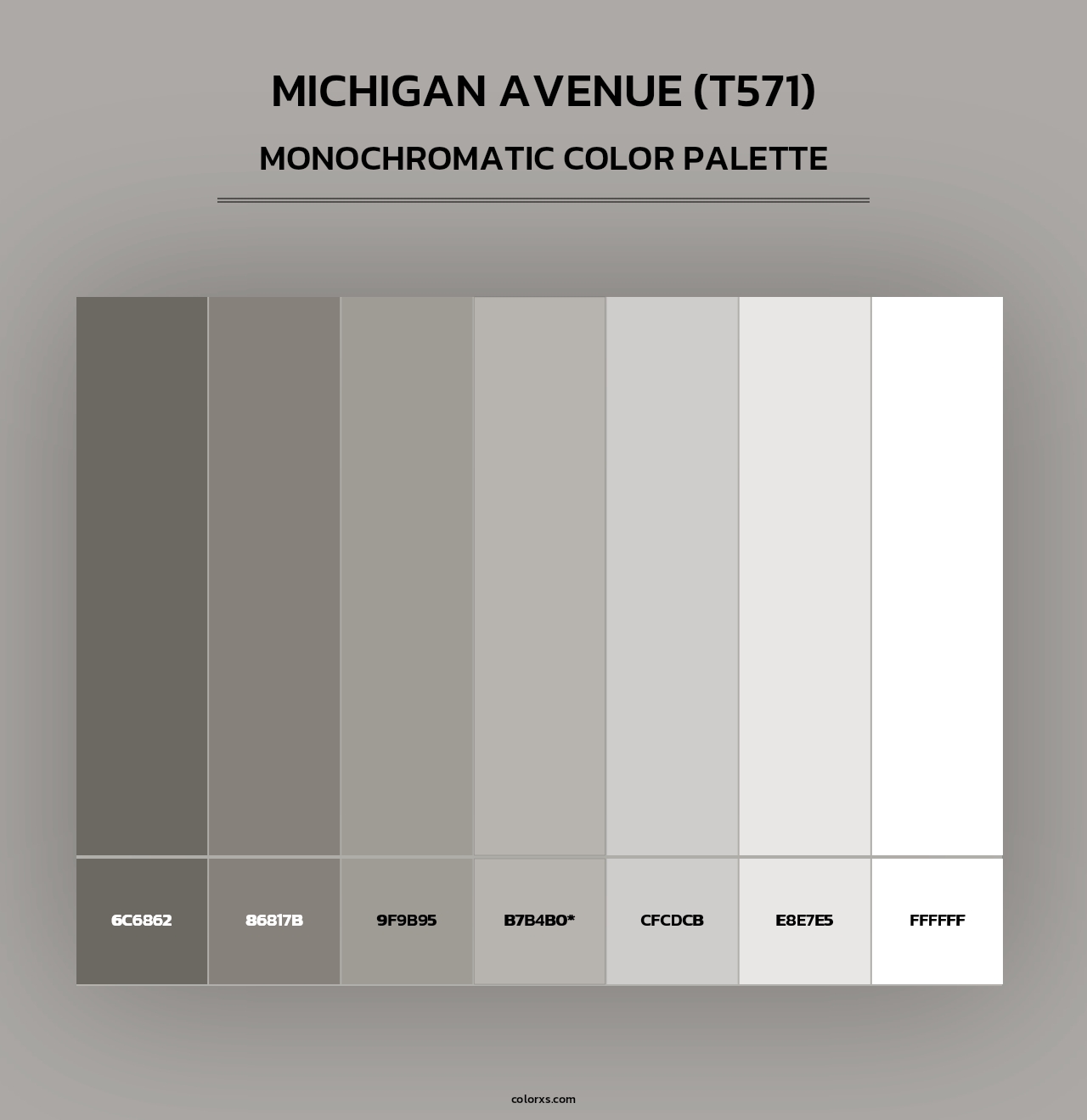 Michigan Avenue (T571) - Monochromatic Color Palette