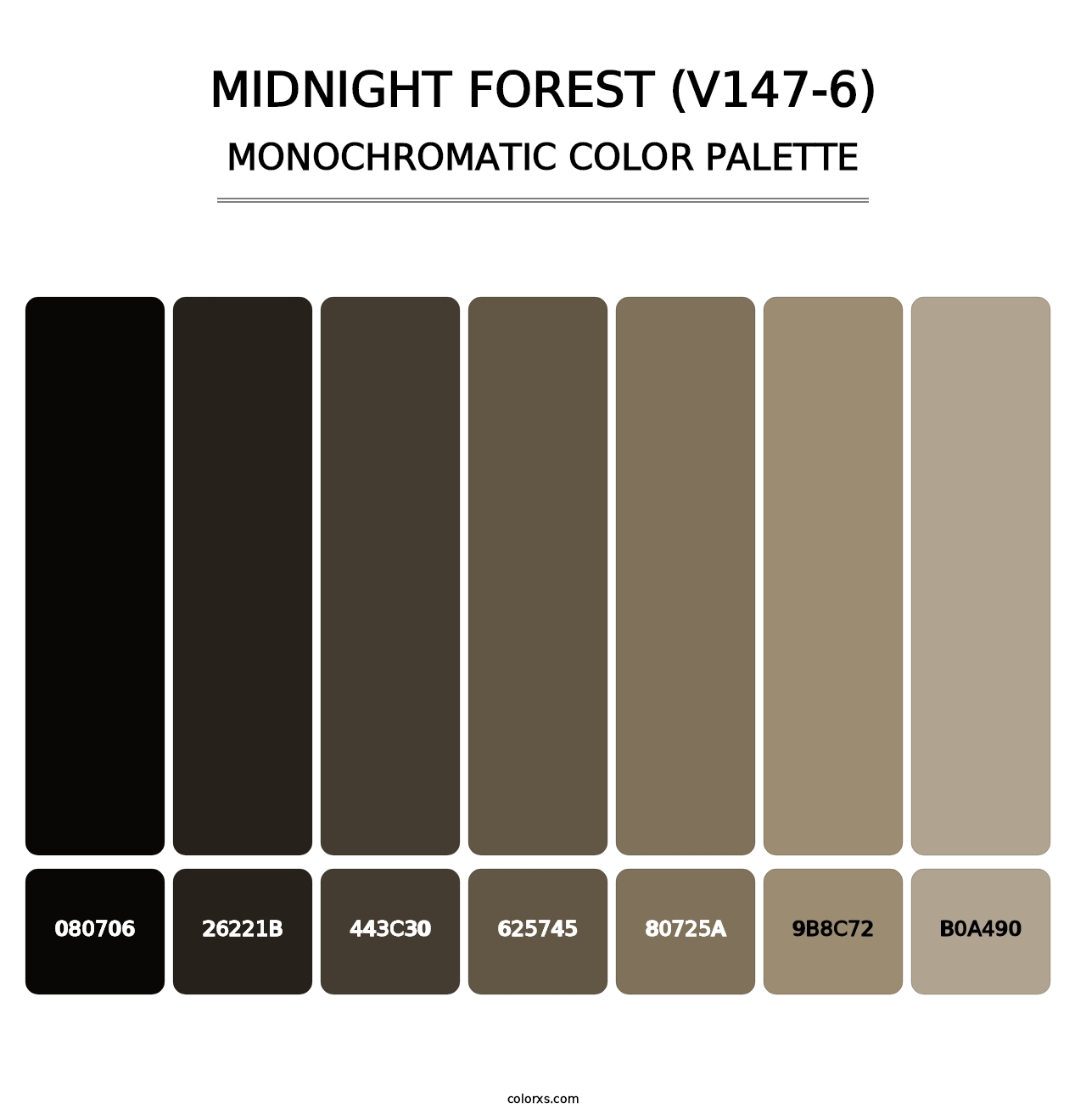 Midnight Forest (V147-6) - Monochromatic Color Palette