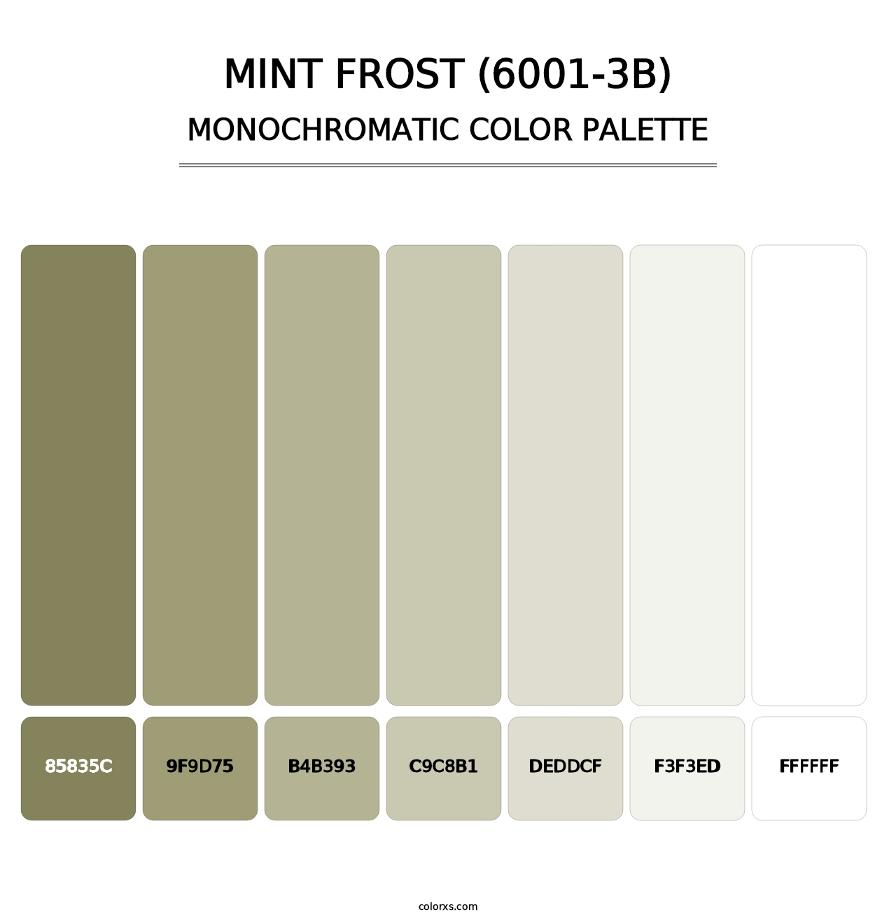 Mint Frost (6001-3B) - Monochromatic Color Palette