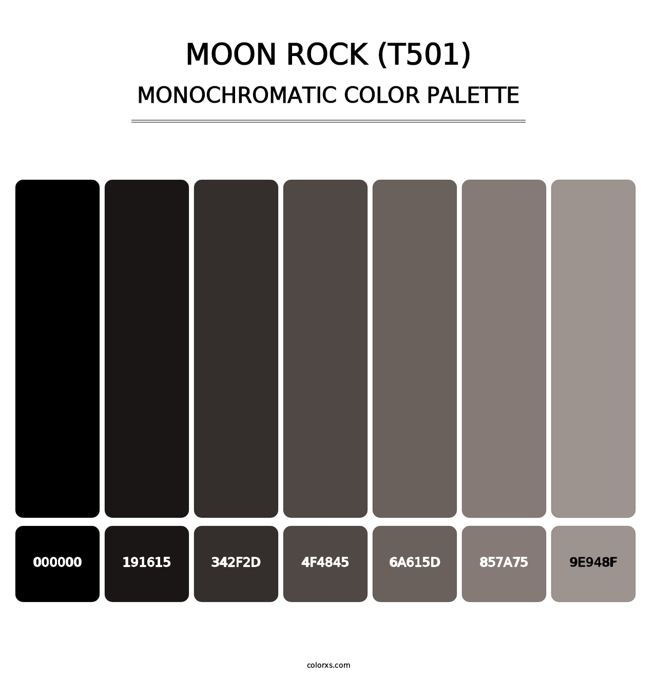 Moon Rock (T501) - Monochromatic Color Palette