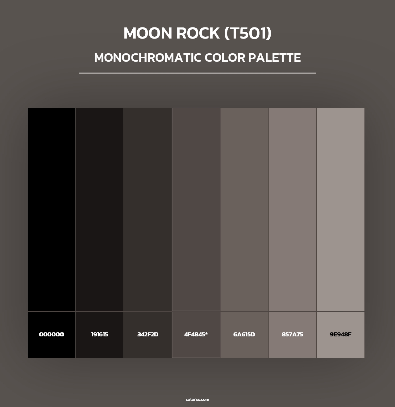 Moon Rock (T501) - Monochromatic Color Palette