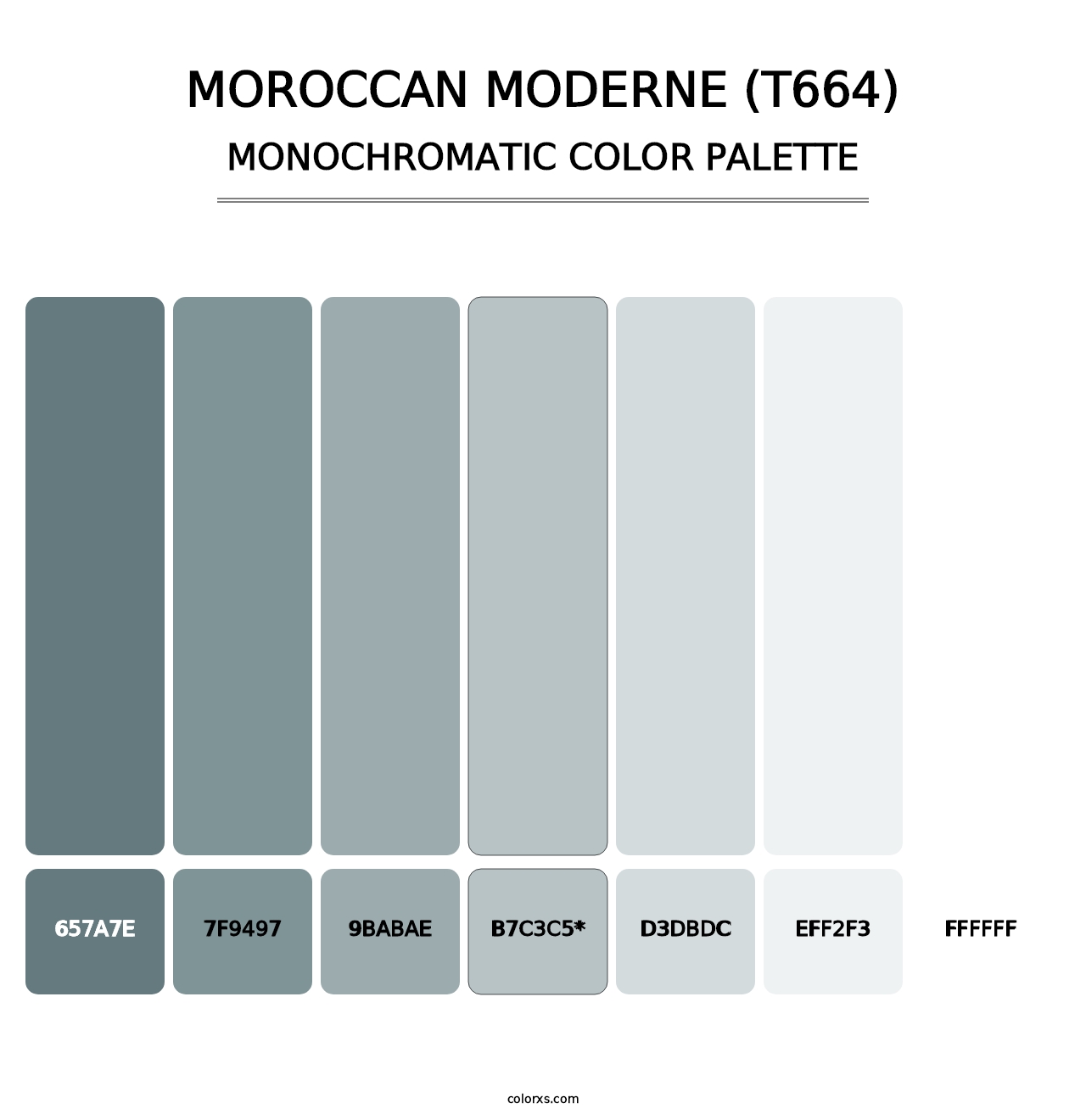 Moroccan Moderne (T664) - Monochromatic Color Palette