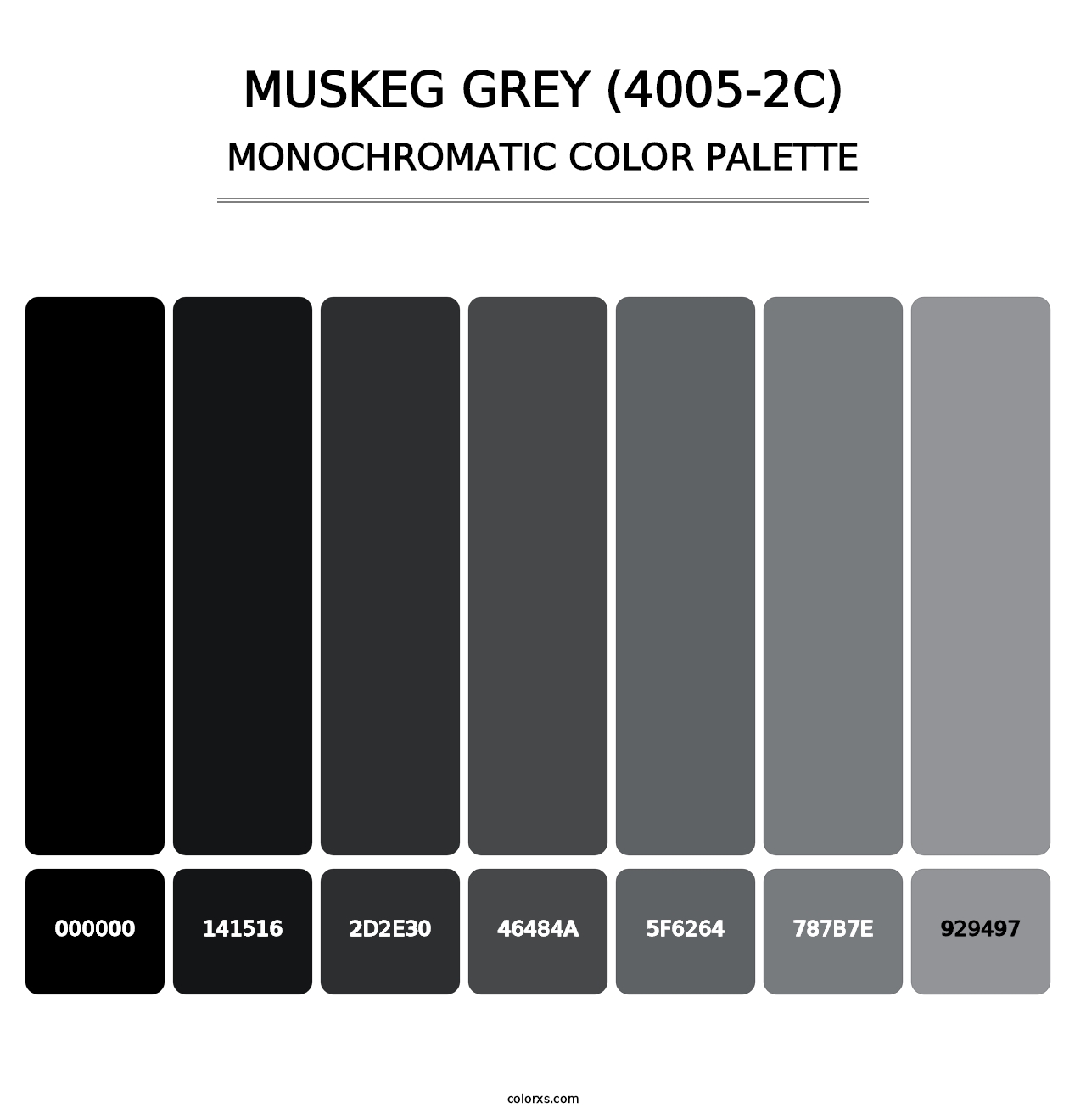 Muskeg Grey (4005-2C) - Monochromatic Color Palette