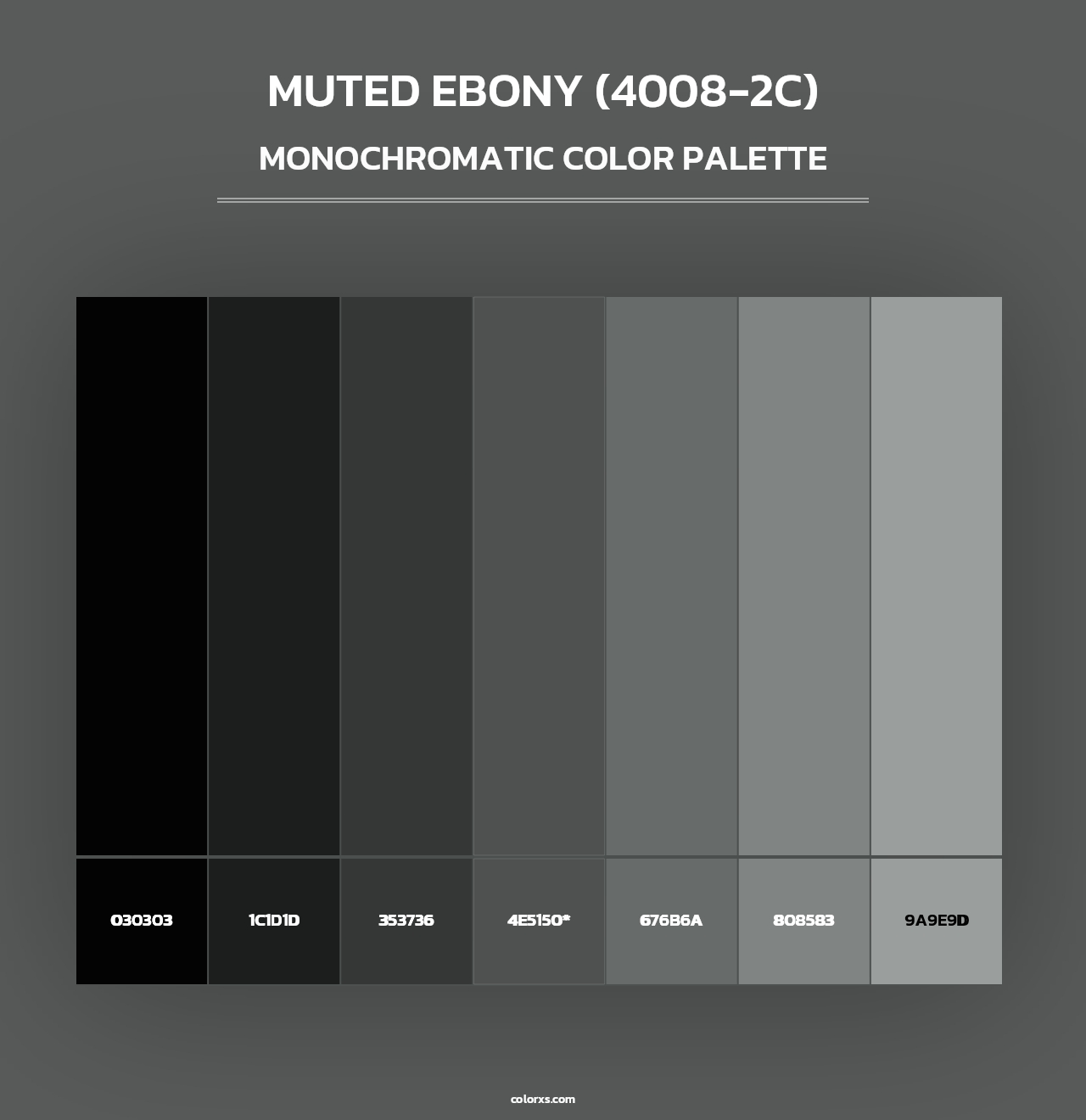 Muted Ebony (4008-2C) - Monochromatic Color Palette