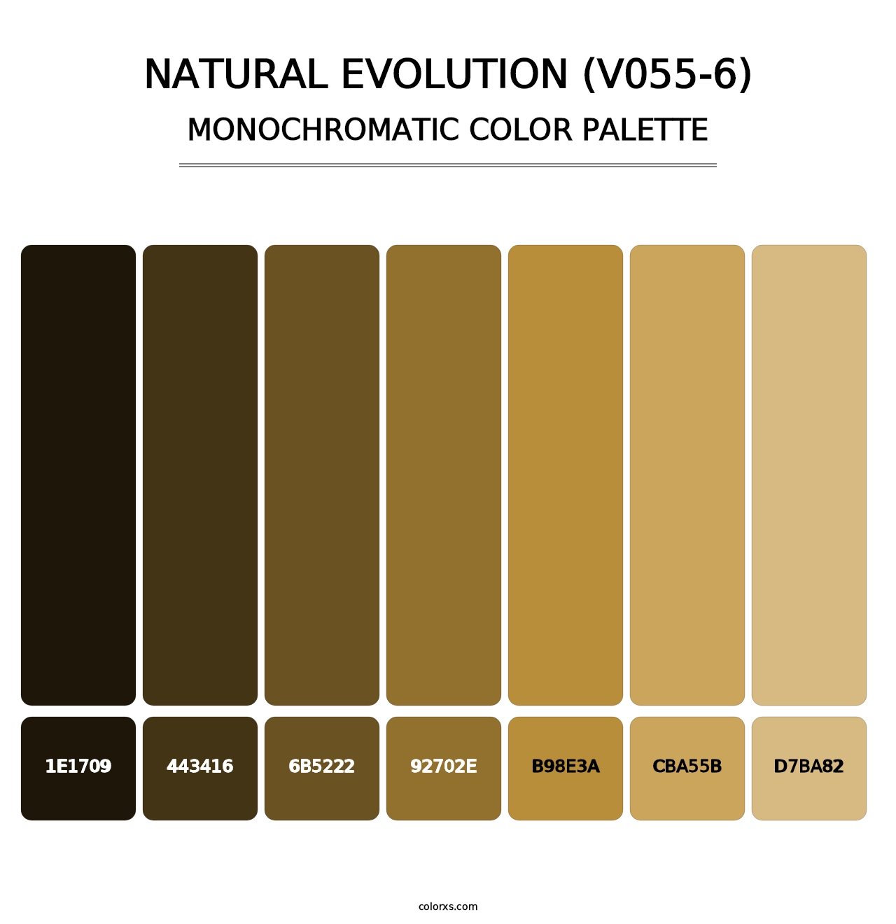 Natural Evolution (V055-6) - Monochromatic Color Palette