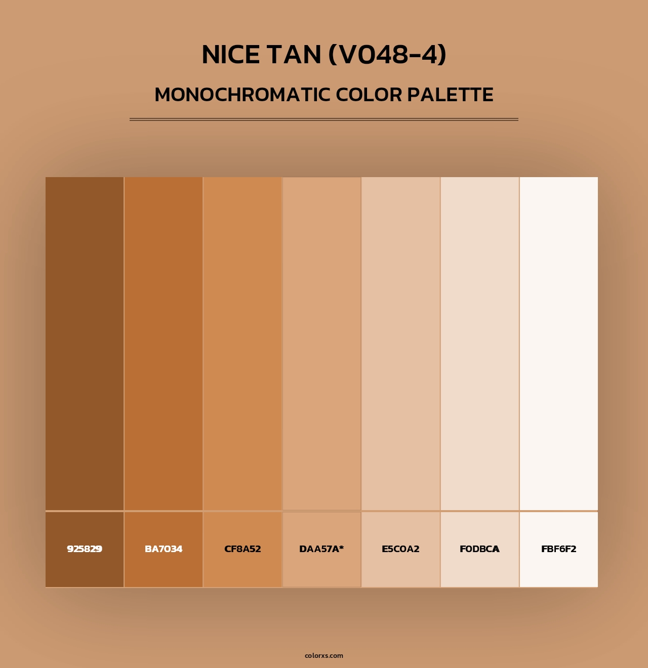 Nice Tan (V048-4) - Monochromatic Color Palette