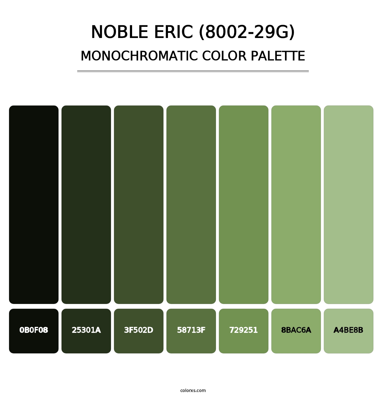 Noble Eric (8002-29G) - Monochromatic Color Palette