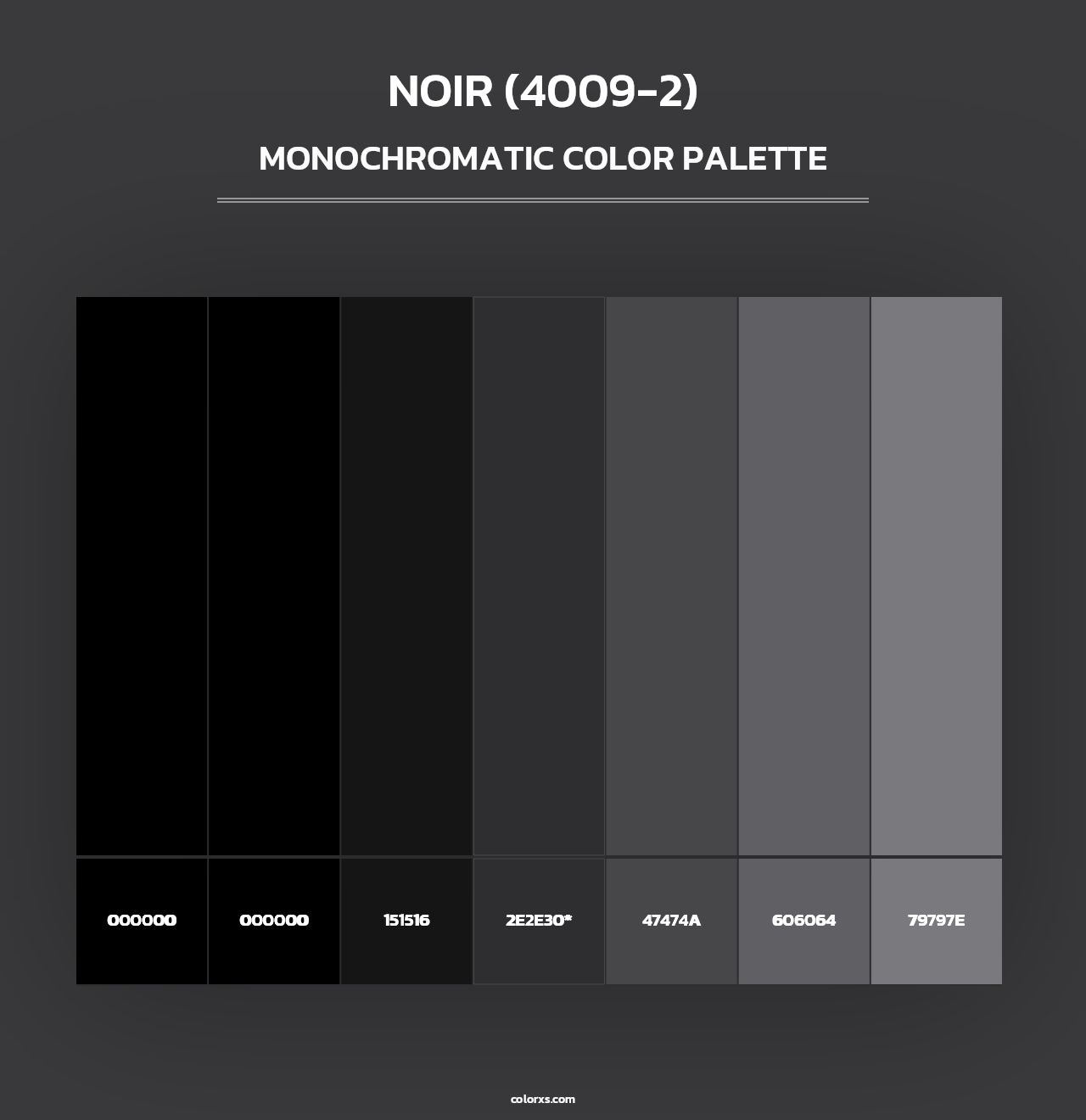 Noir (4009-2) - Monochromatic Color Palette