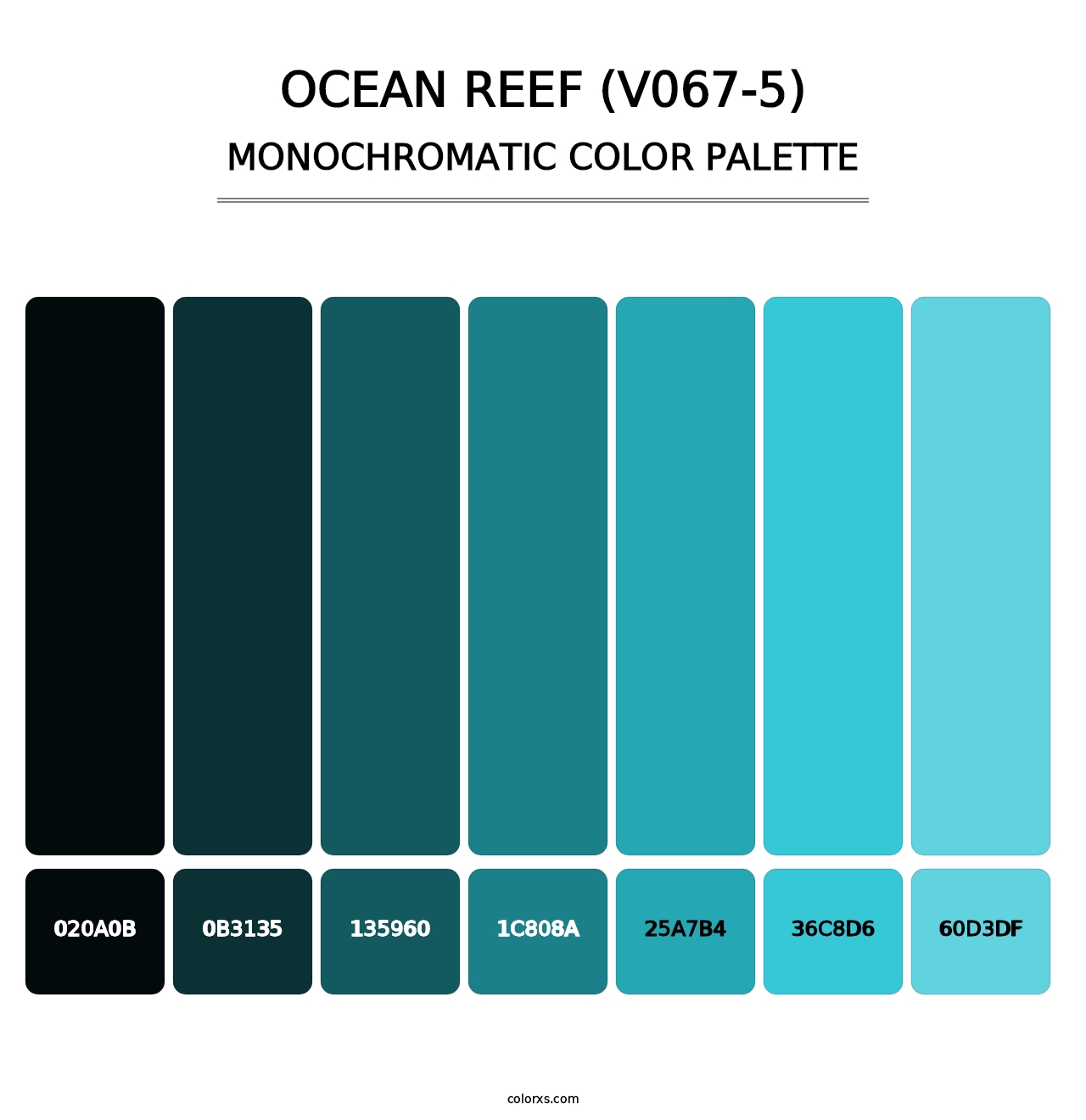 Ocean Reef (V067-5) - Monochromatic Color Palette