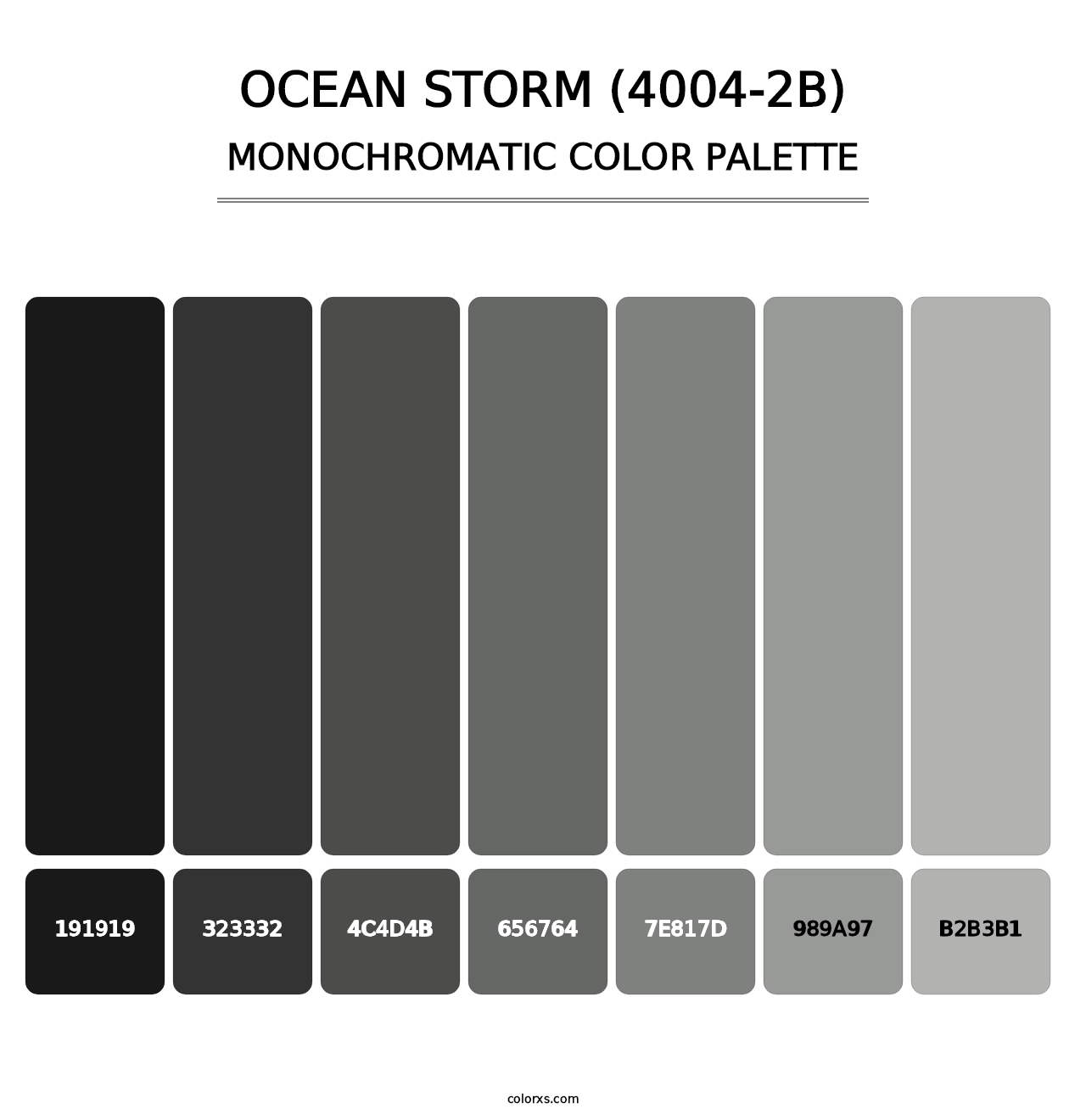 Ocean Storm (4004-2B) - Monochromatic Color Palette