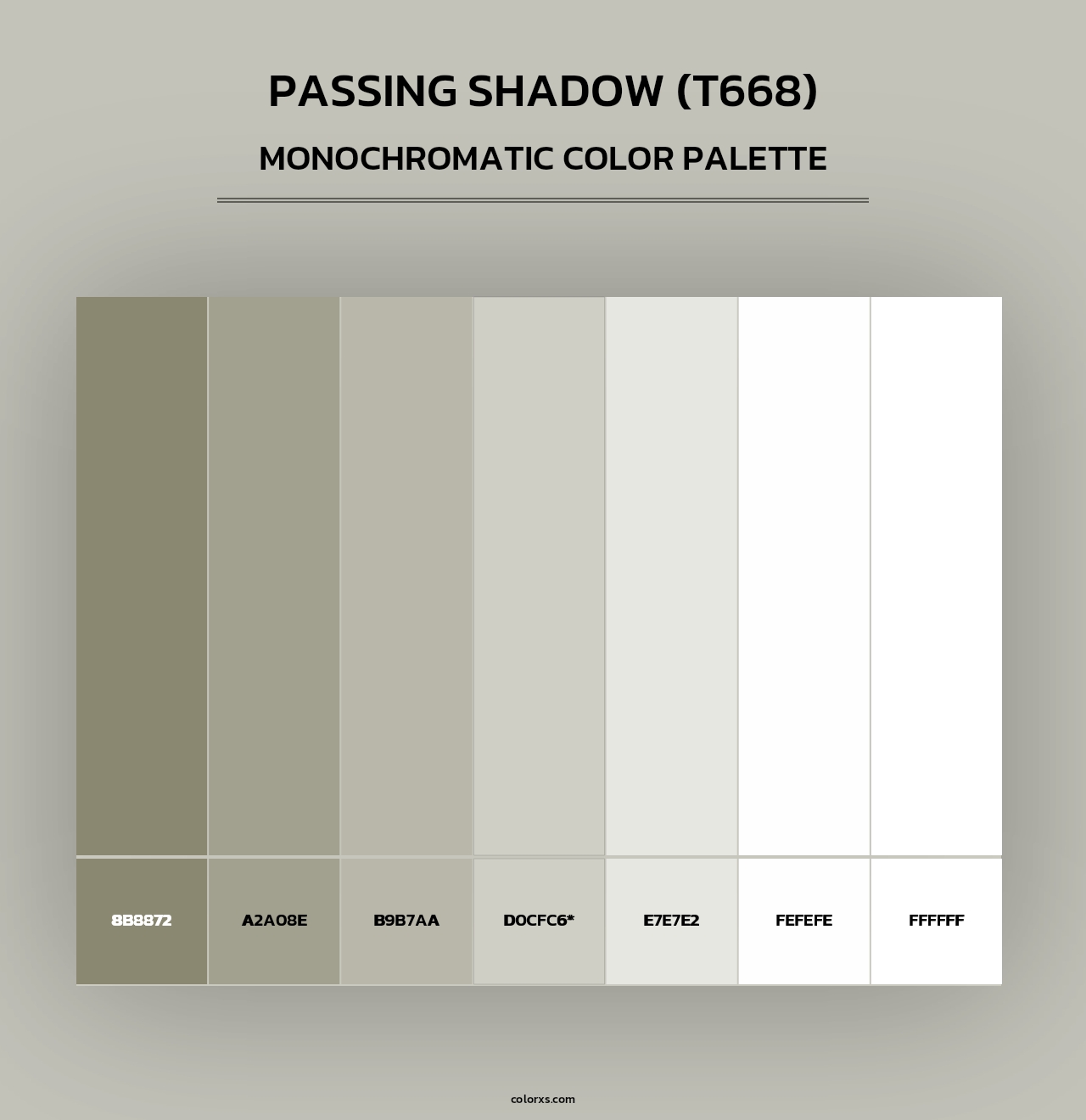 Passing Shadow (T668) - Monochromatic Color Palette
