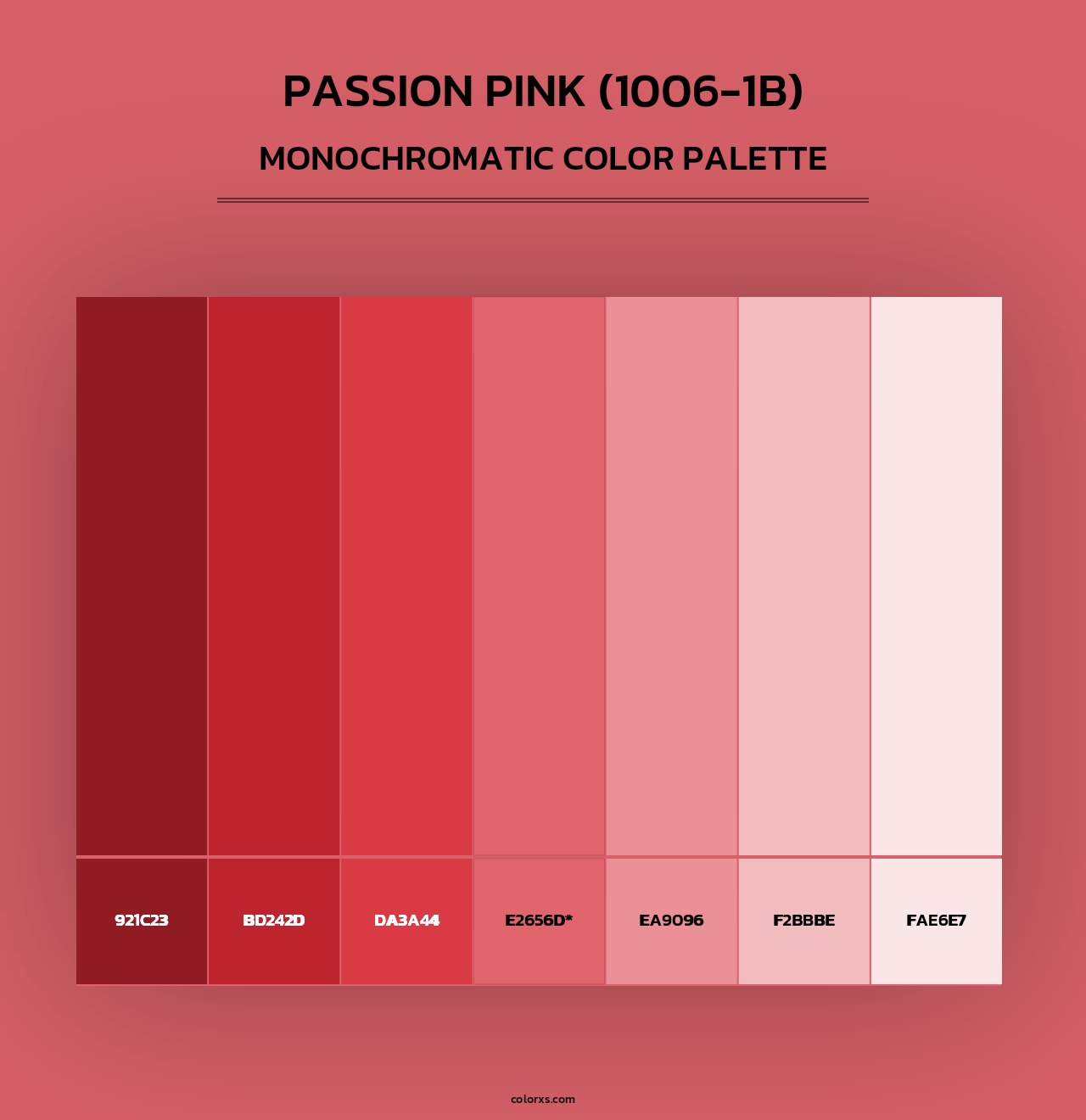 Passion Pink (1006-1B) - Monochromatic Color Palette