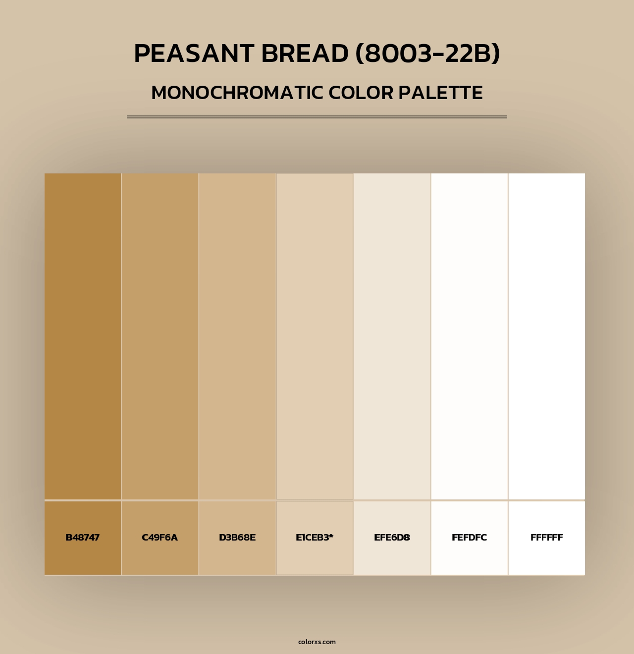 Peasant Bread (8003-22B) - Monochromatic Color Palette