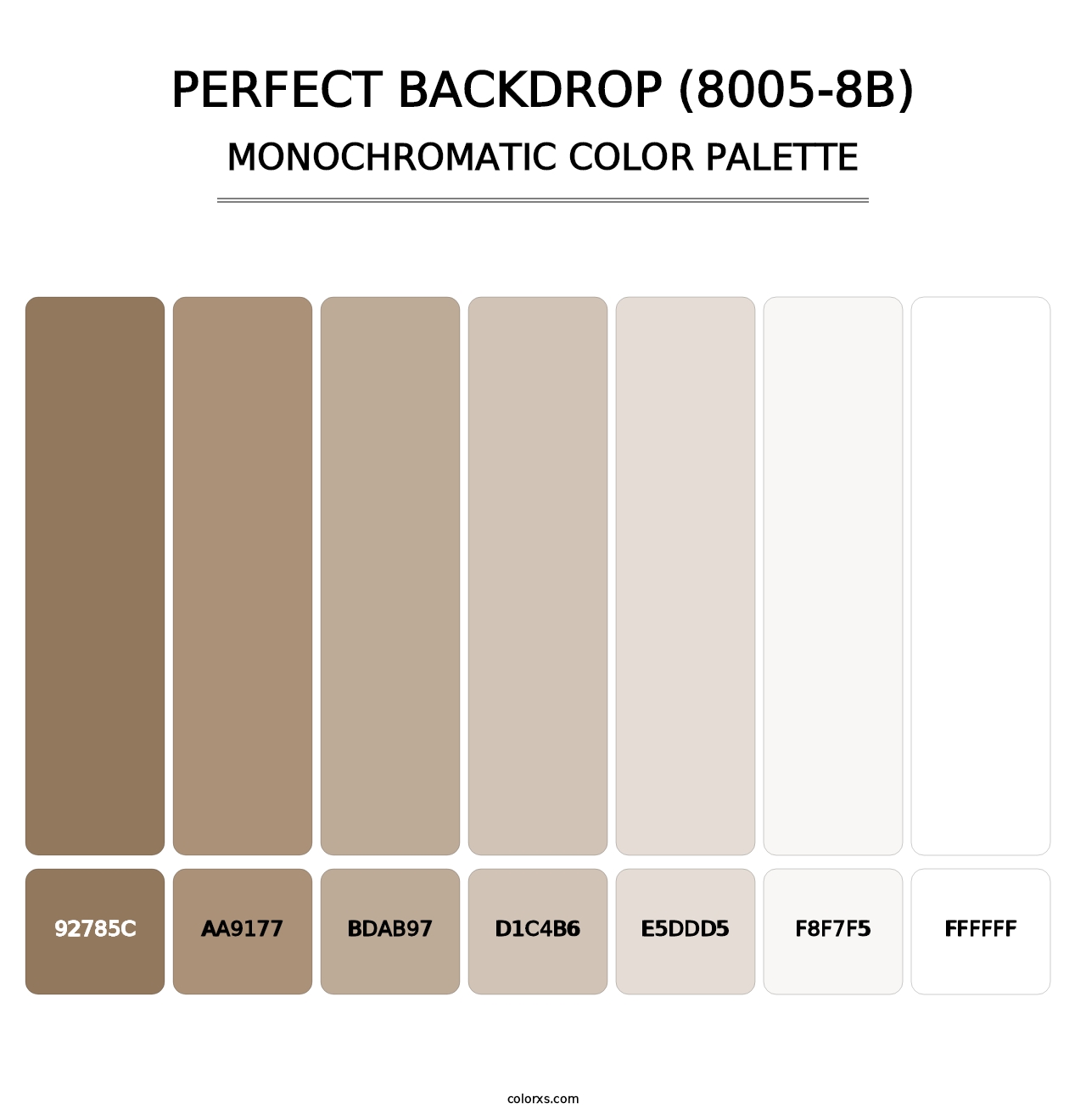 Perfect Backdrop (8005-8B) - Monochromatic Color Palette