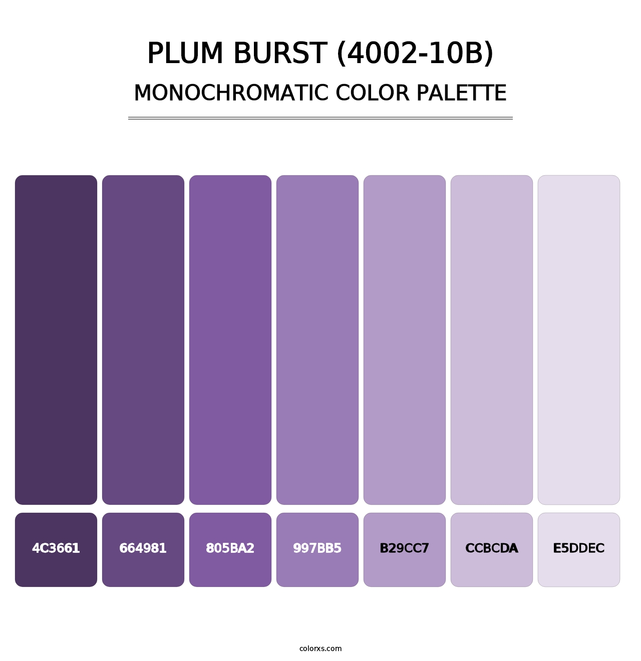 Plum Burst (4002-10B) - Monochromatic Color Palette