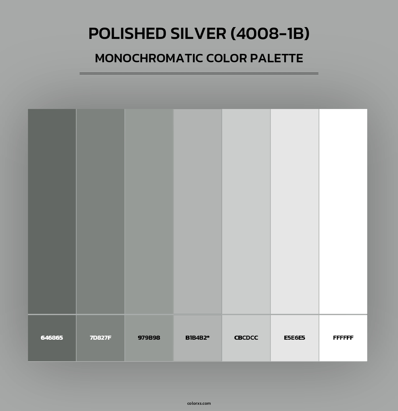 Polished Silver (4008-1B) - Monochromatic Color Palette