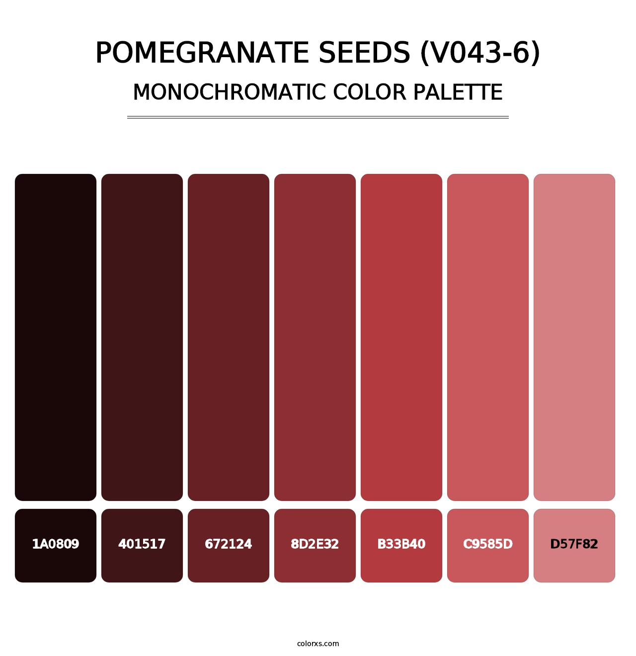 Pomegranate Seeds (V043-6) - Monochromatic Color Palette