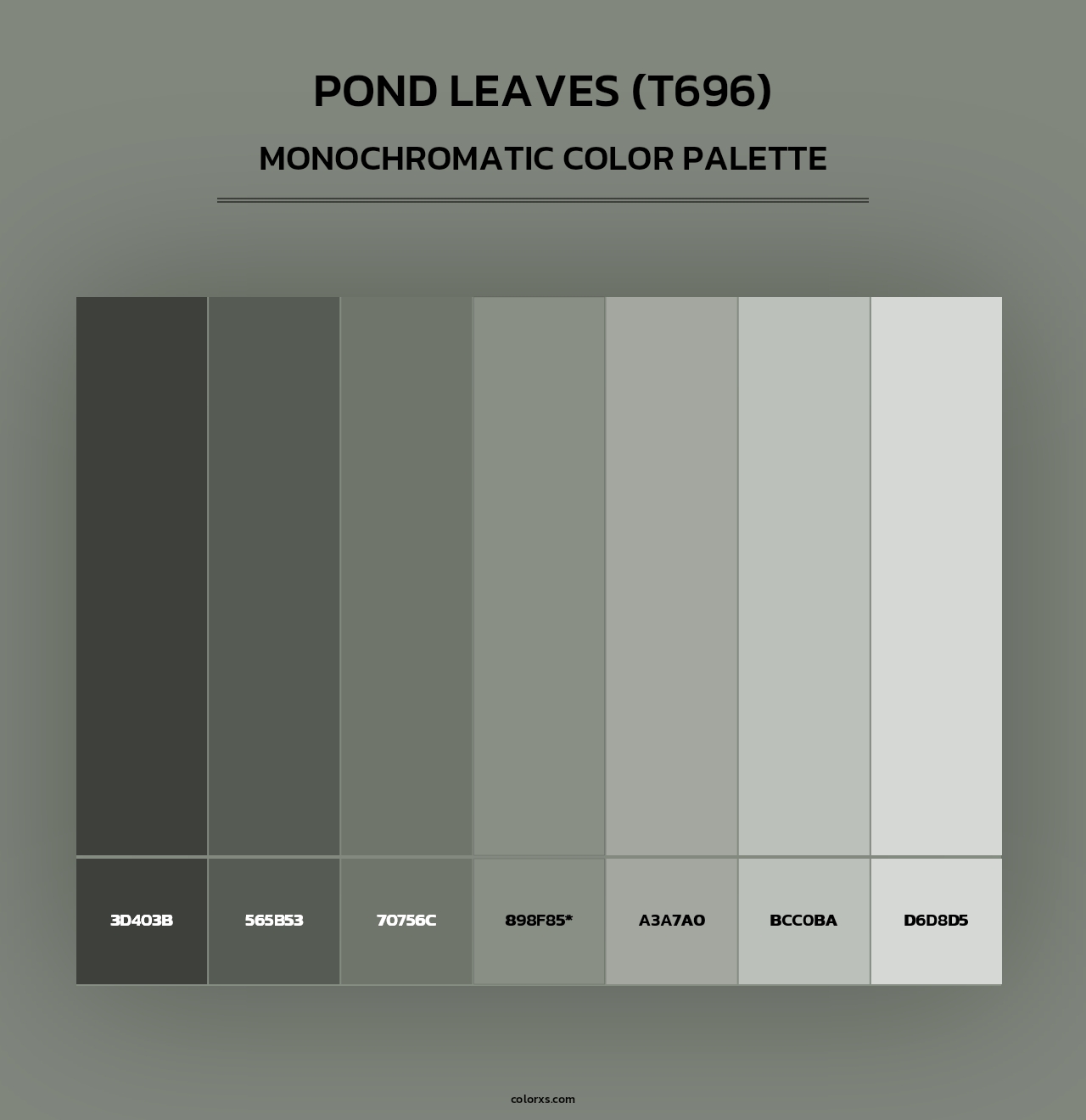 Pond Leaves (T696) - Monochromatic Color Palette