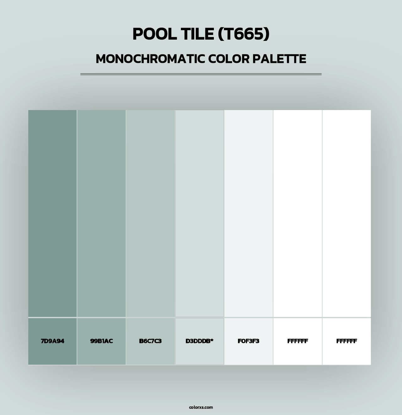 Pool Tile (T665) - Monochromatic Color Palette
