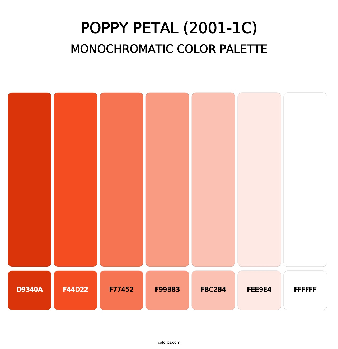 Poppy Petal (2001-1C) - Monochromatic Color Palette