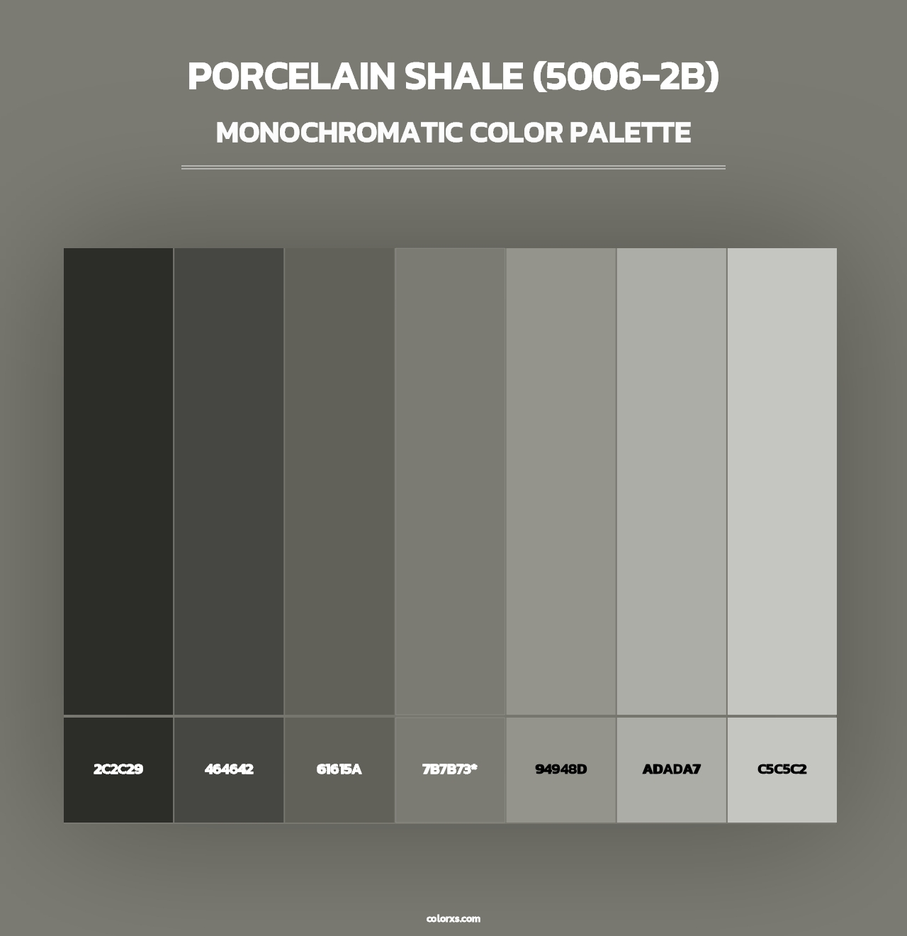Porcelain Shale (5006-2B) - Monochromatic Color Palette
