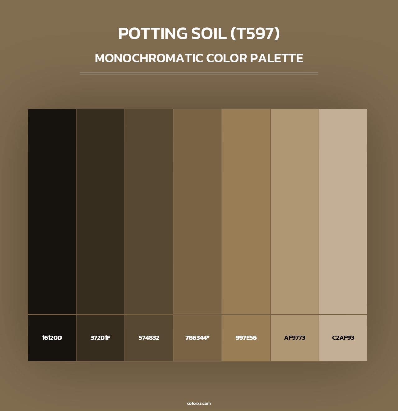 Potting Soil (T597) - Monochromatic Color Palette